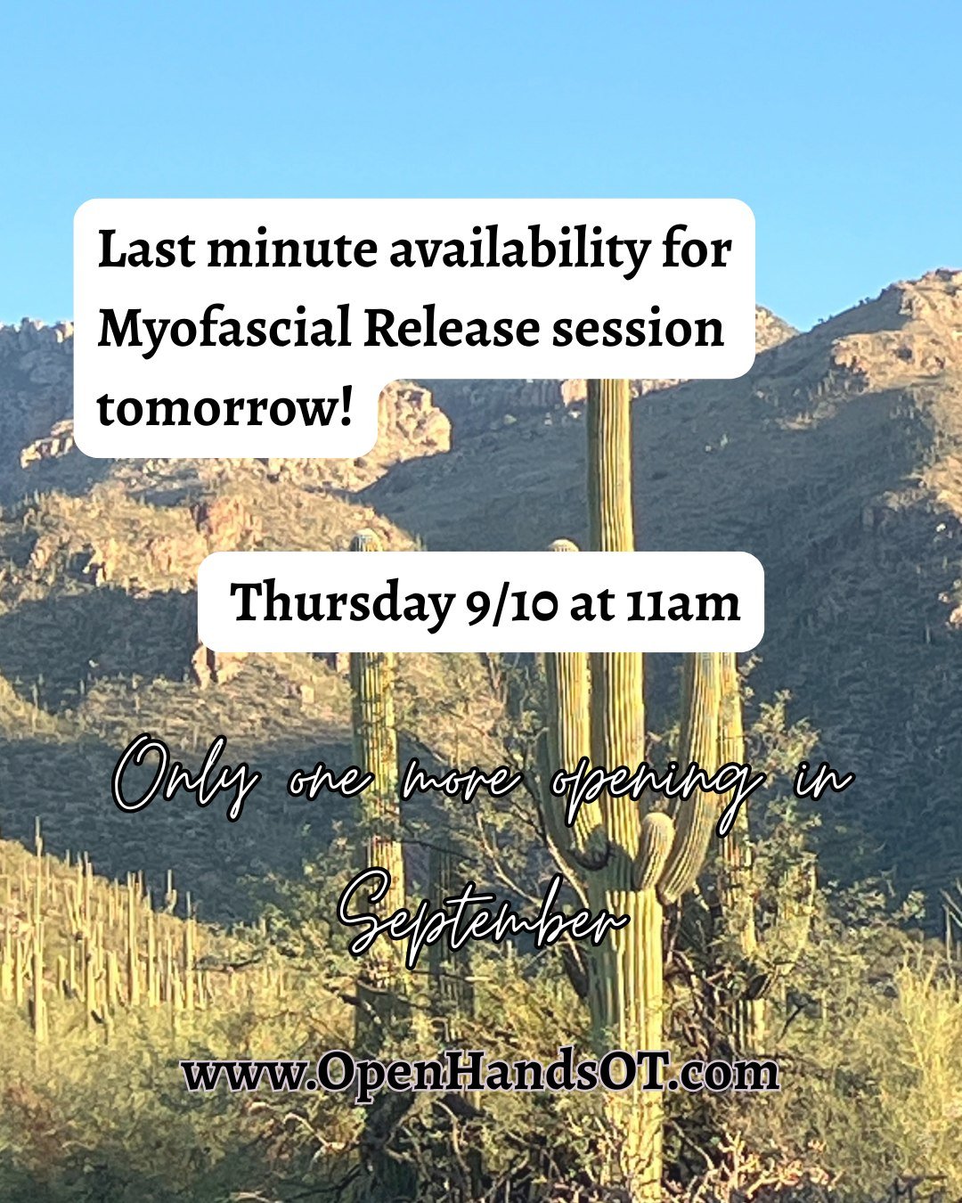 Last minute opening for tomorrow at 11am! If you have been curious about trying a Myofascial Release session with me this is your spot, next available is 9/29.

DM me to schedule as the online scheduling window has closed.✨

 #backpainrelief #MFR #tu