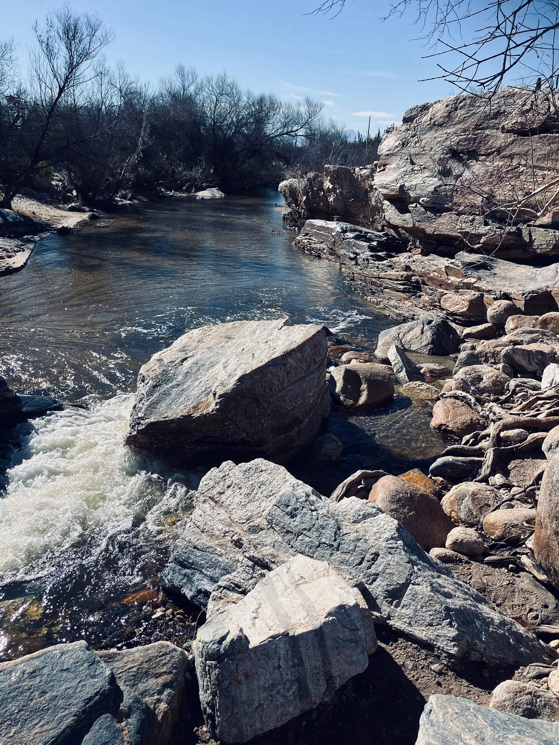 A rocky riverbank with clear flowing water, surrounded by leafless trees and blue sky.