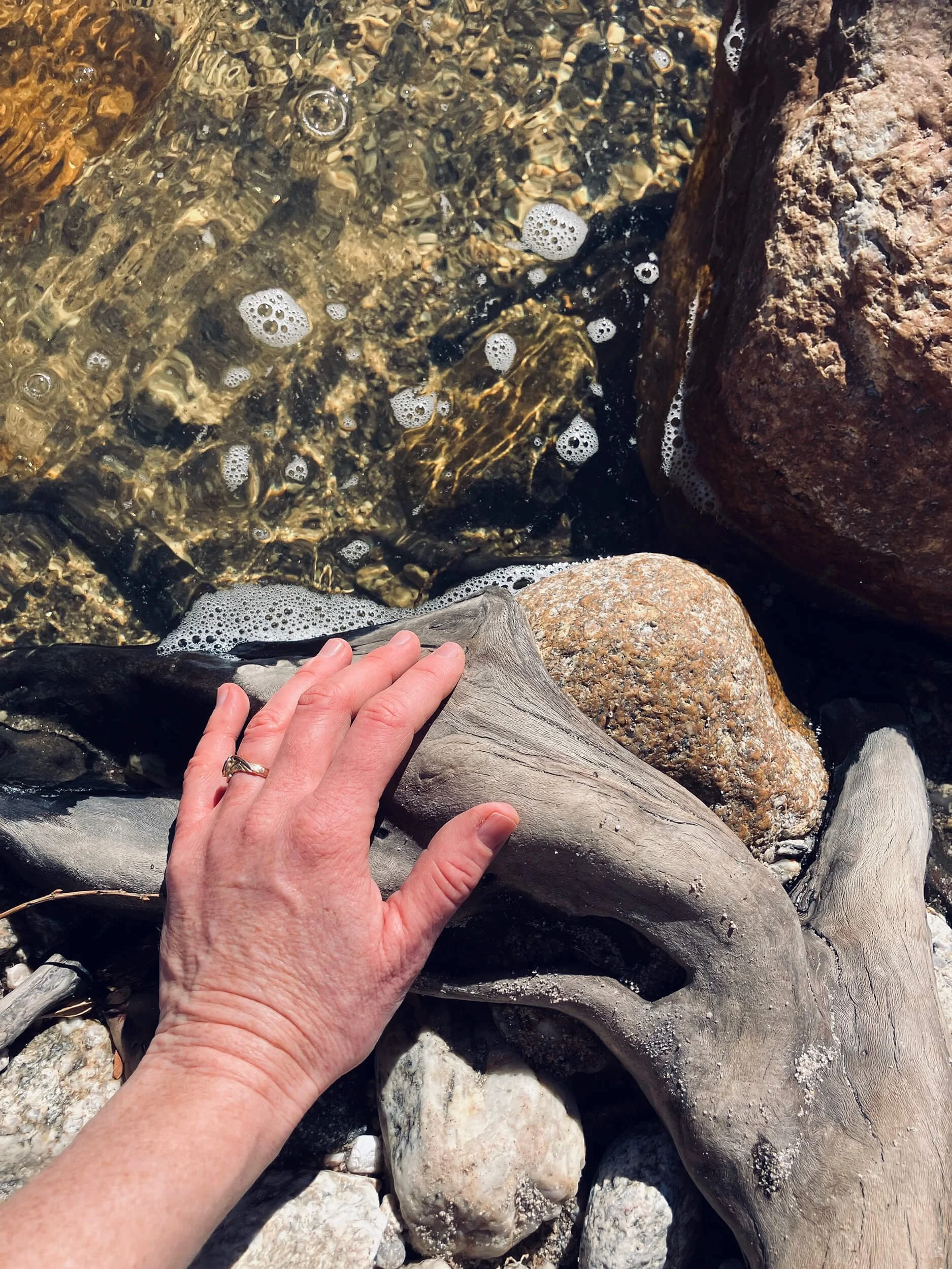 A person's hand touching rocks and driftwood near the water in a natural setting.