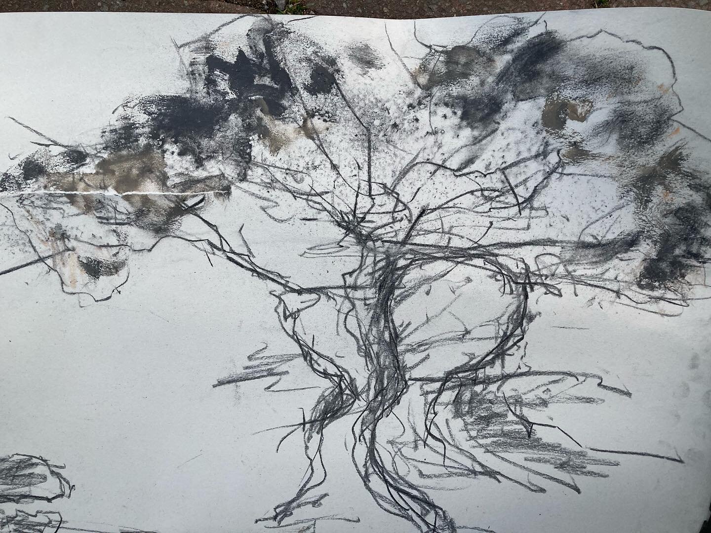 A lovely morning workshop in Portishead with #northsomersetarts using foraged materials- lots of fun mark making with great company! #artworkshops #portishead #naturalpigments #foundmaterials #beachcombing #drawingwithcharcoal #severnestuary #claireh