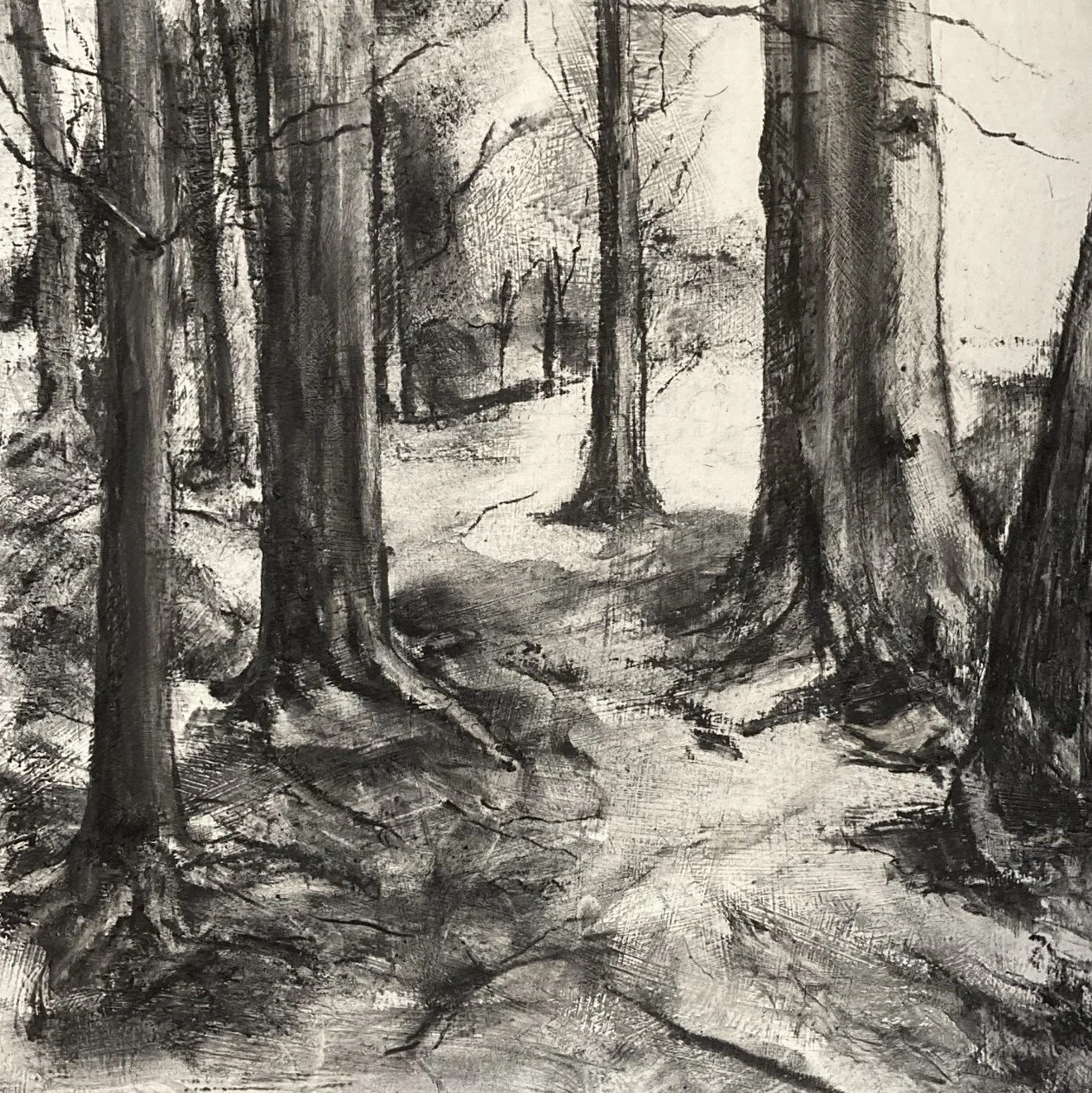 Light and dark tonal values in charcoal