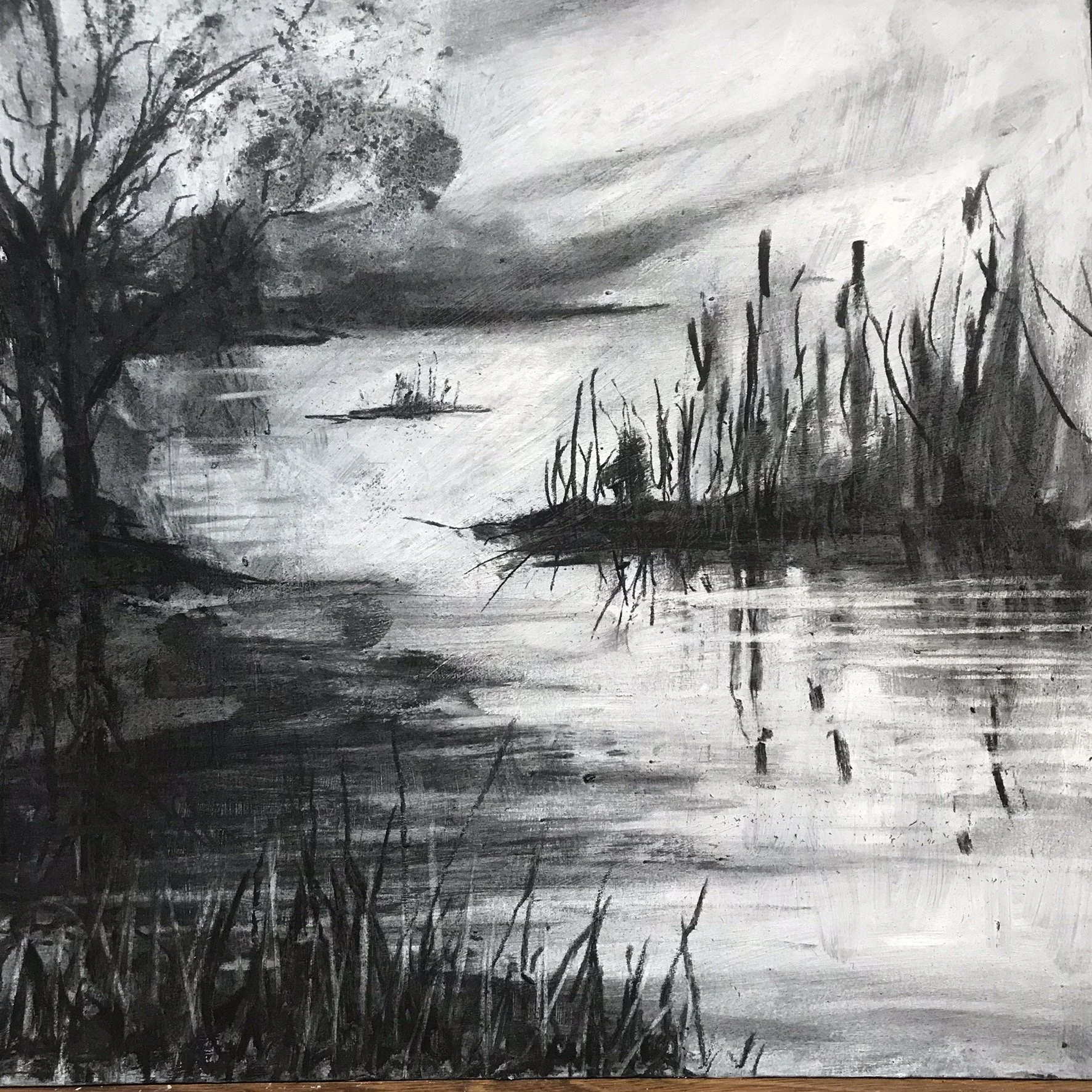 Light and reflections in charcoal