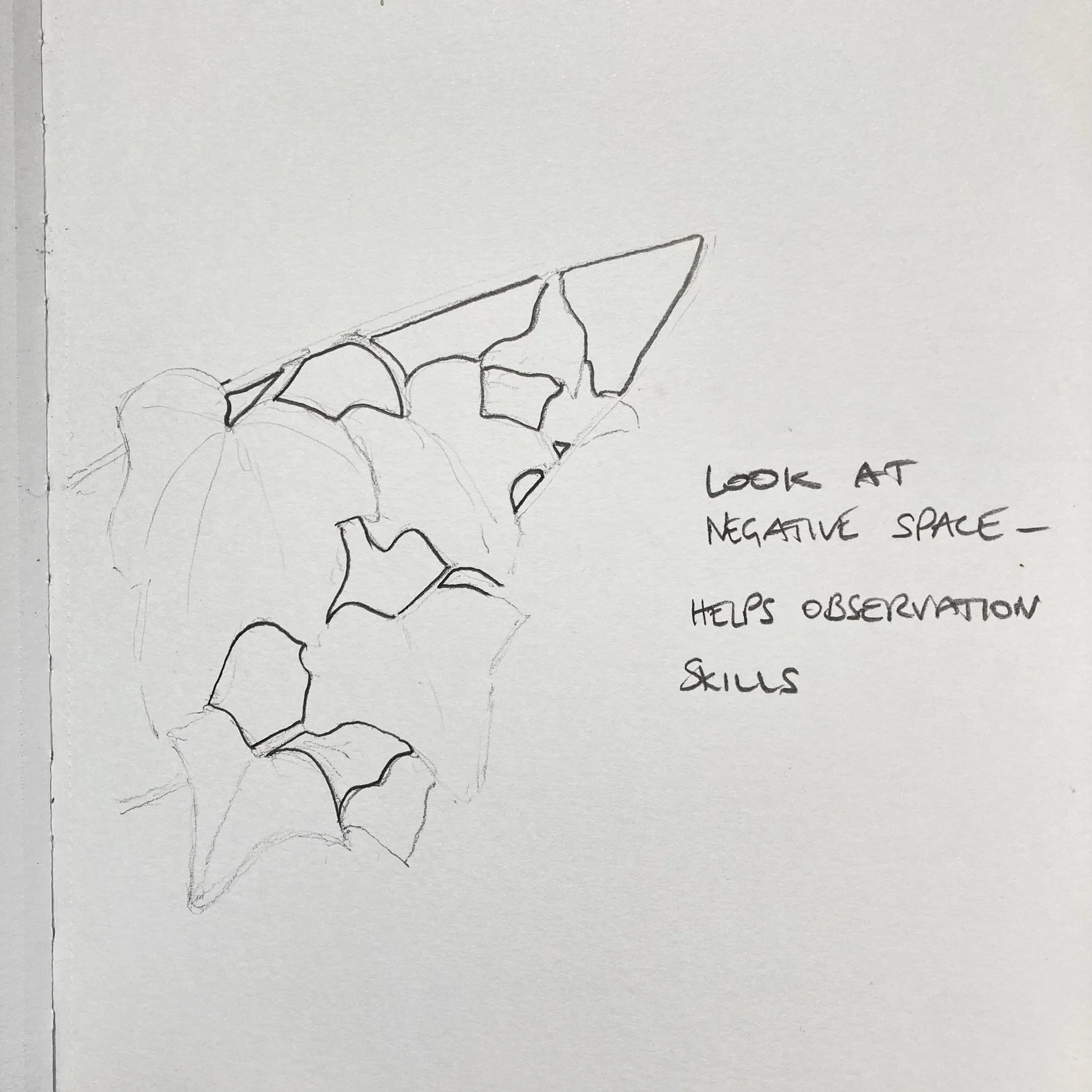 Negative space study