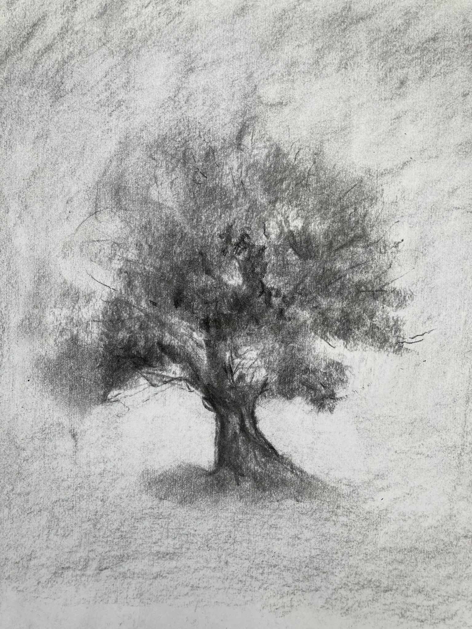 Soft focus trees - limited information