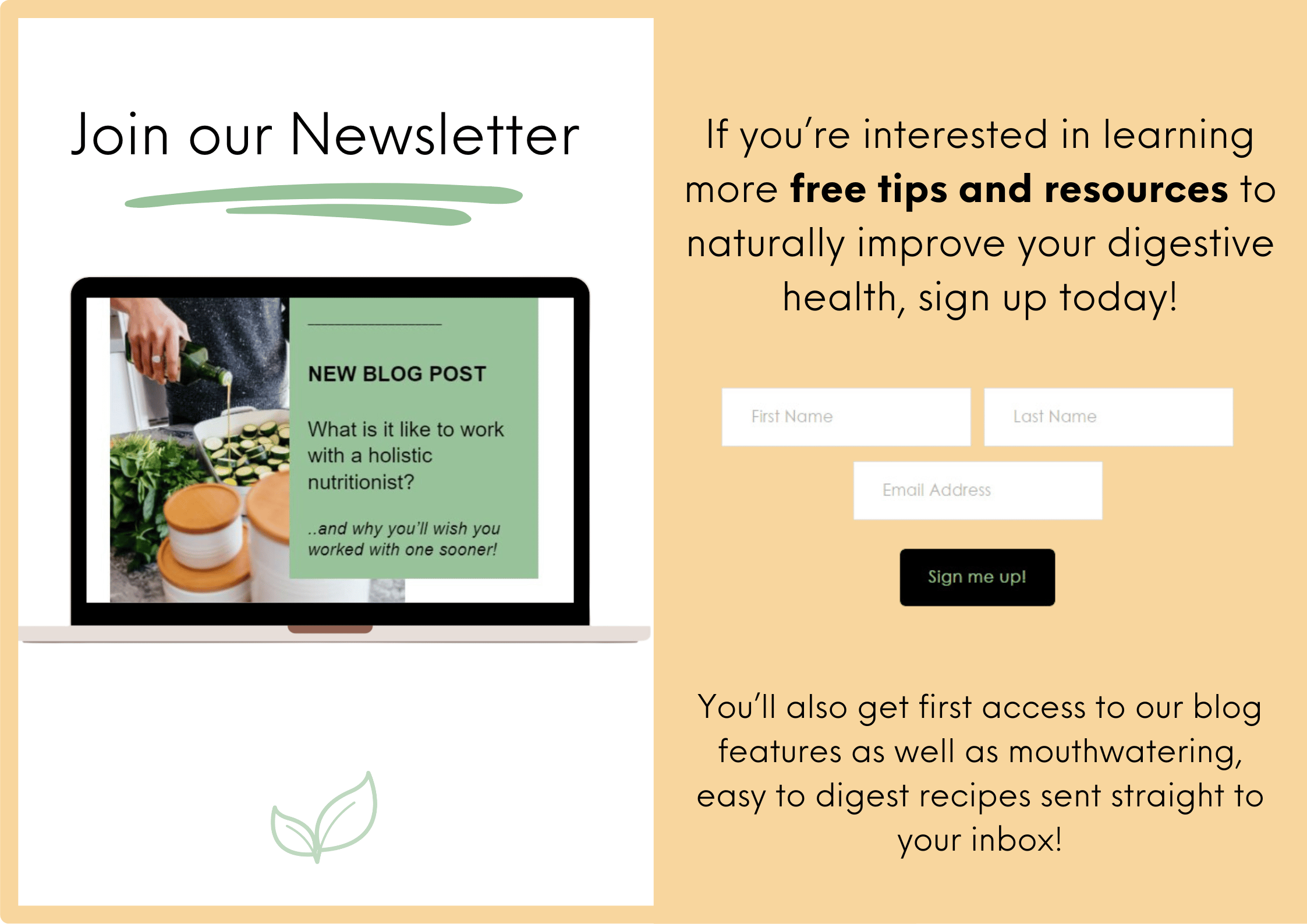 Blog Newsletter CTA