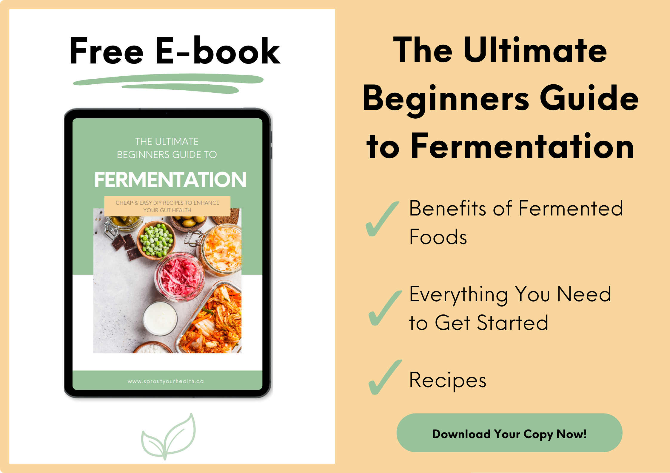 Fermentation Freebie
