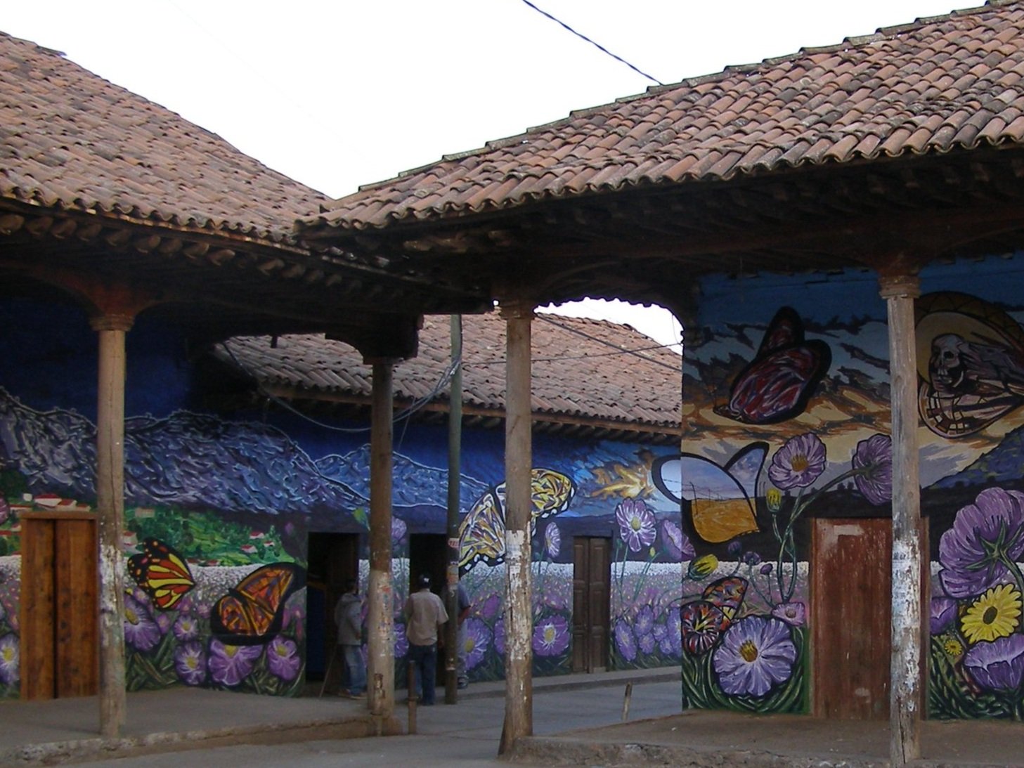 Migrant Butterflies