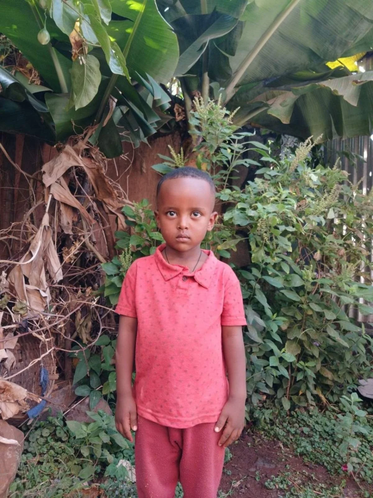 Kalab | Age 4 | Birthday 08/22/2022 | He lives with his mother, she works multiple jobs to provide the best she can for him. 