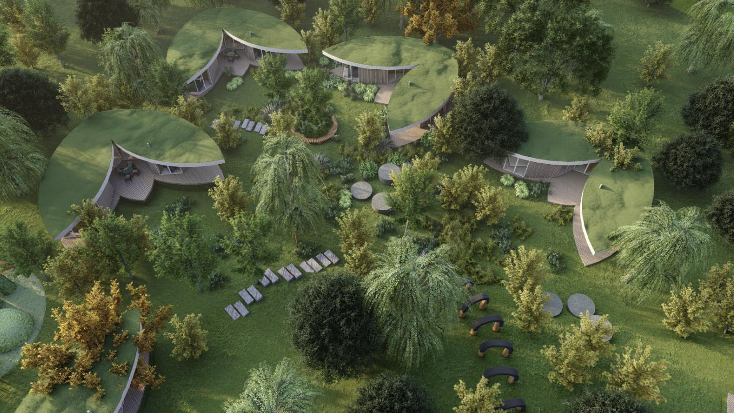 Zomerlicht: eco lodges, cabins en community-based verblijven in de natuur van Nederland