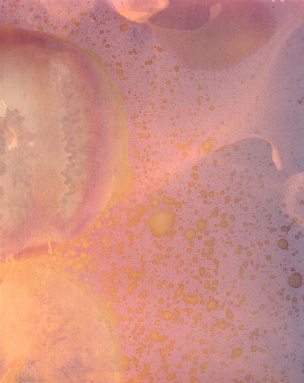 Screen Shot 2023-03-09 at 4.03.43 PM.png