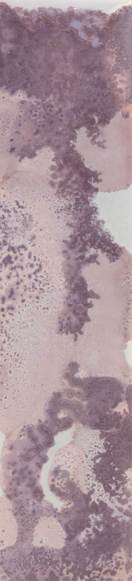 Screen Shot 2023-03-09 at 3.41.55 PM.png