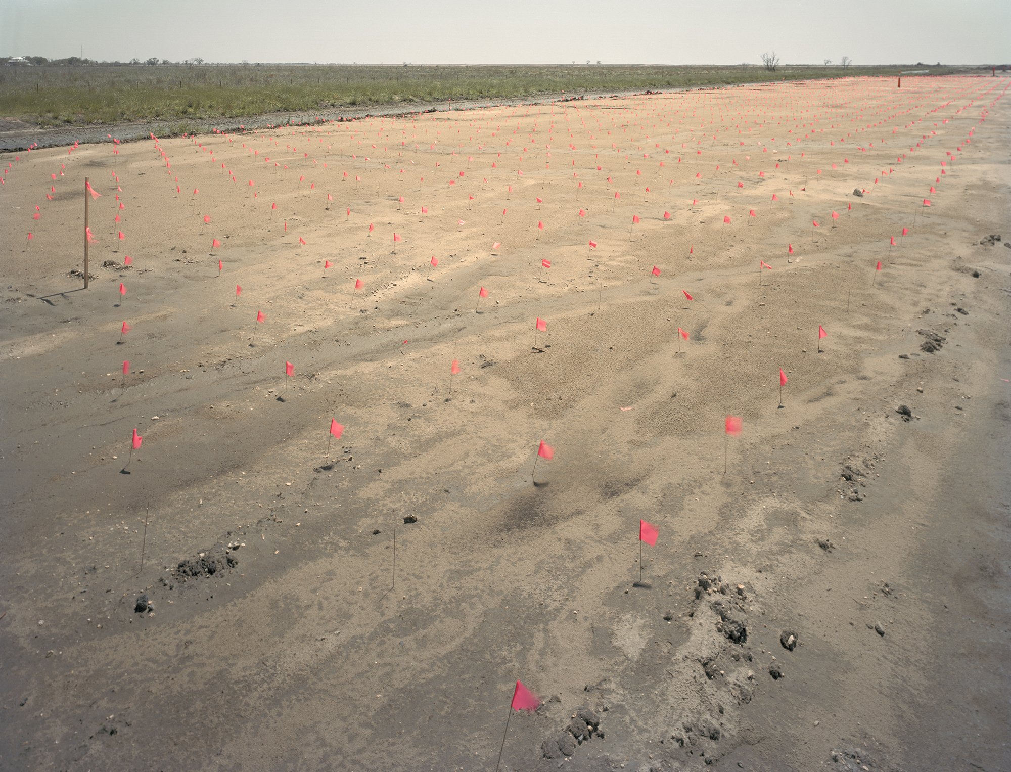  Pink Flags, Myrtle Grove. LA. 2022. 