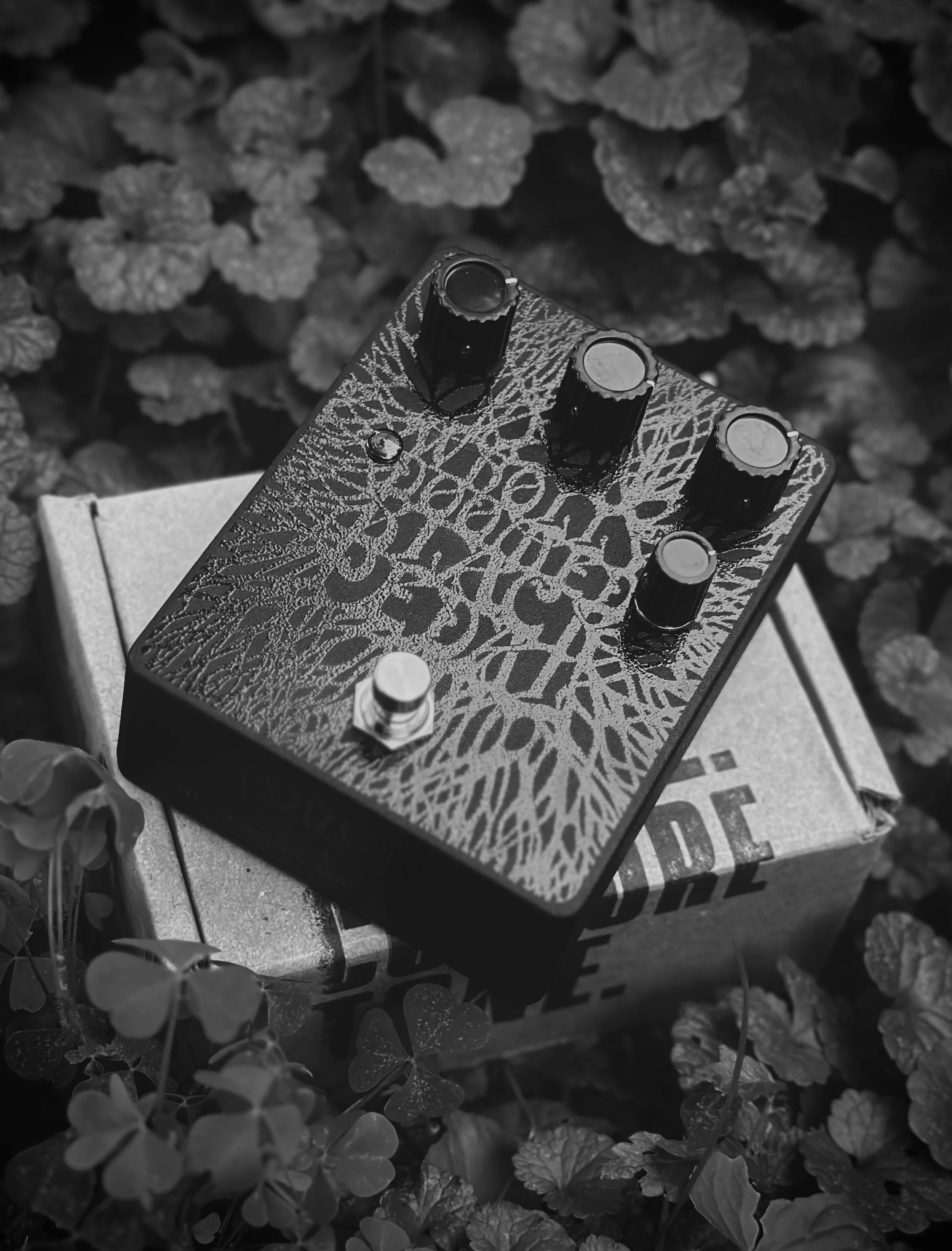 Wholly Doomed Black Pedal