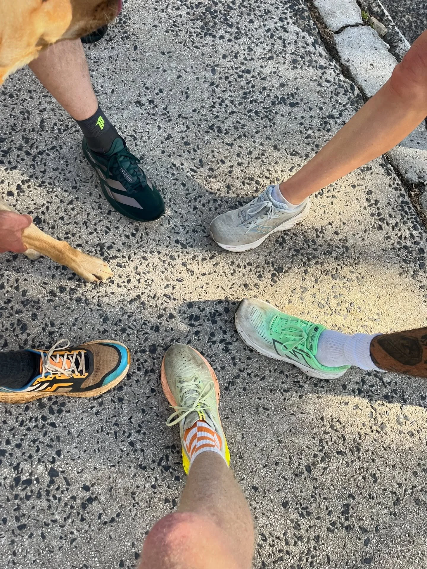 Well done to Josh, Robin, Nathan, Briony and Neil for starting Sunday in the best way - with a fun run around Bangalow this morning. 🏃&zwj;♀️🏃🏽&zwj;♂️

Big thanks to Dr Neil for leading the run - loved the energy you brought to the group. The limb