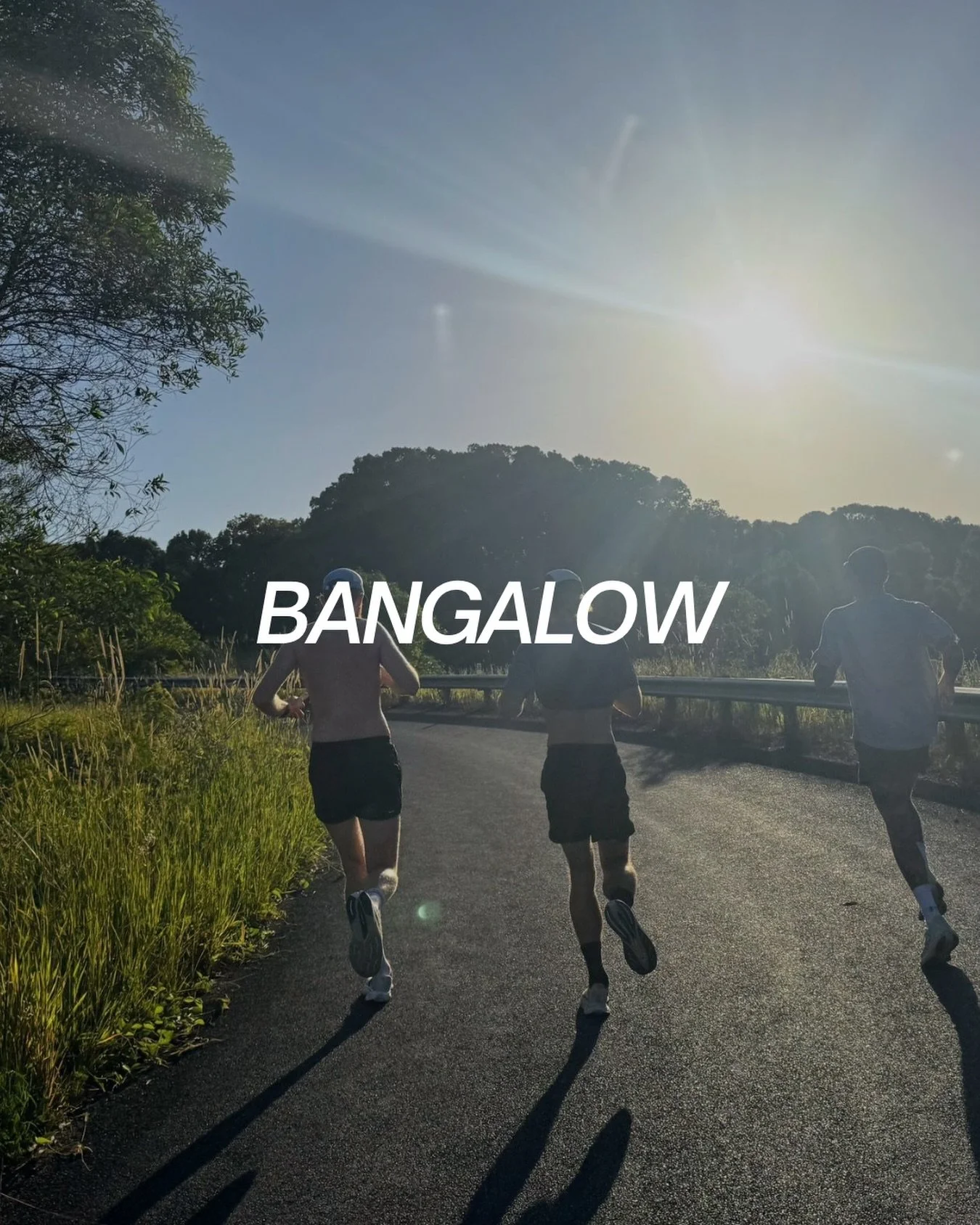 BANGALOW SUNDAY RUN

Arrowhead Lane. LFG!

Sunday BANGALOW social run details below:

Date: Sunday 8th February
Run Leave Time: 7AM
Meet: @lumber_yard_bangalow (8/10 Station St, Bangalow)
Run length: 30min and 1hr options
After run: Coffee @woodsbang