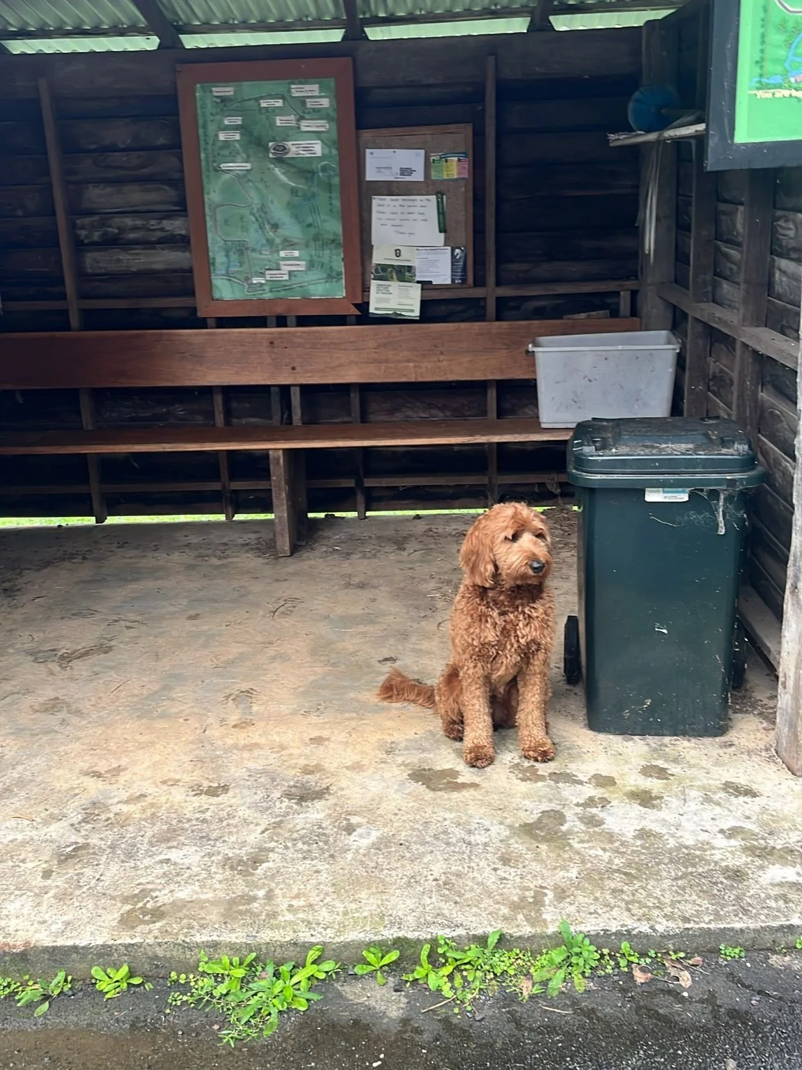 Happy Mother&rsquo;s Day mums! Well done to Dan, Max, Neil and doggo for getting out this morning. 

Bangalow run next week.

We will be doing bales and barriers with the @bangalowlions2479 - followed by a run. Stay tuned 👀