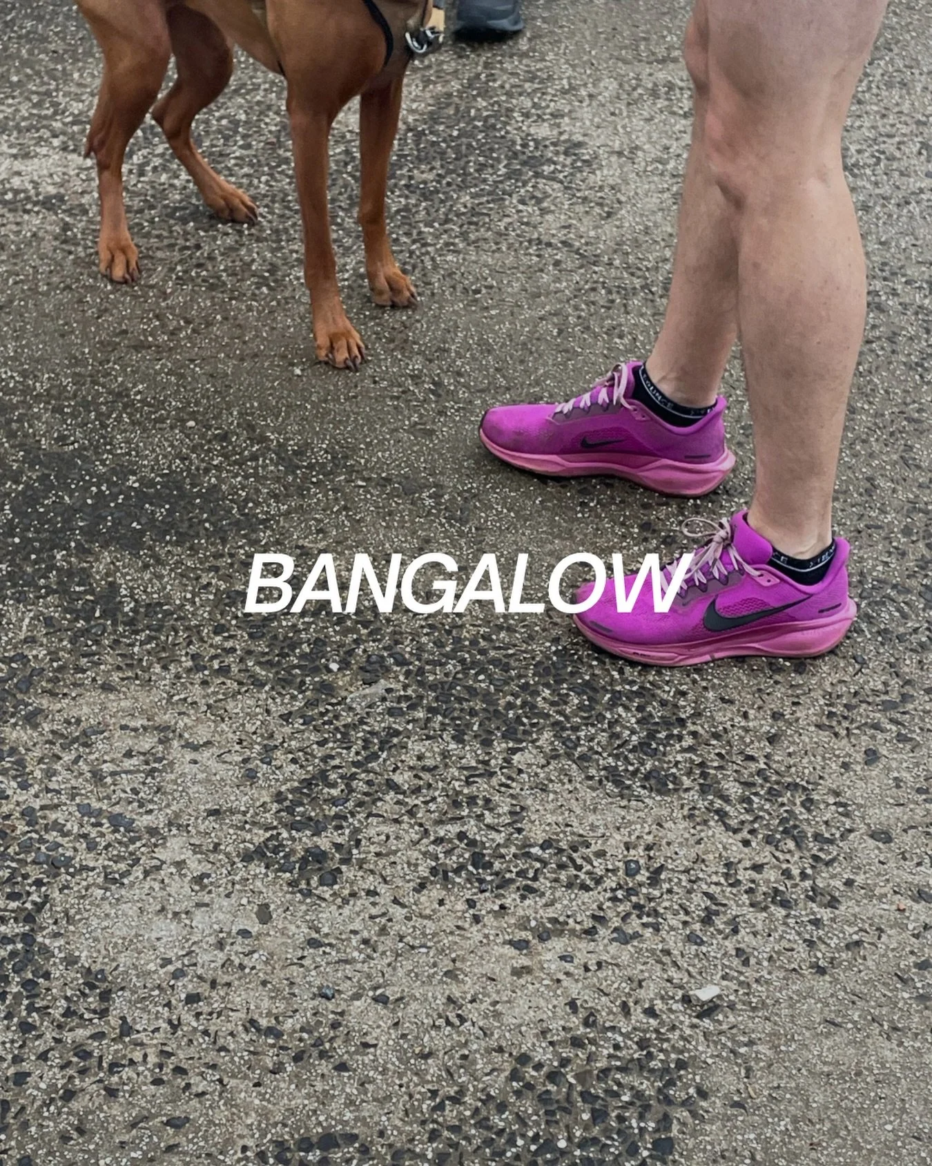BANGALOW SUNDAY RUN

Rain, hail or shine. Bangalow it is.

Sunday BANGALOW social run details below:

Date: Sunday 2nd August
Warm up: 6:45AM
Run Leave Time: 7AM
Meet: 10 Station St, Bangalow @lumber_yard_bangalow 
Run length: 30min and 1hr options
A