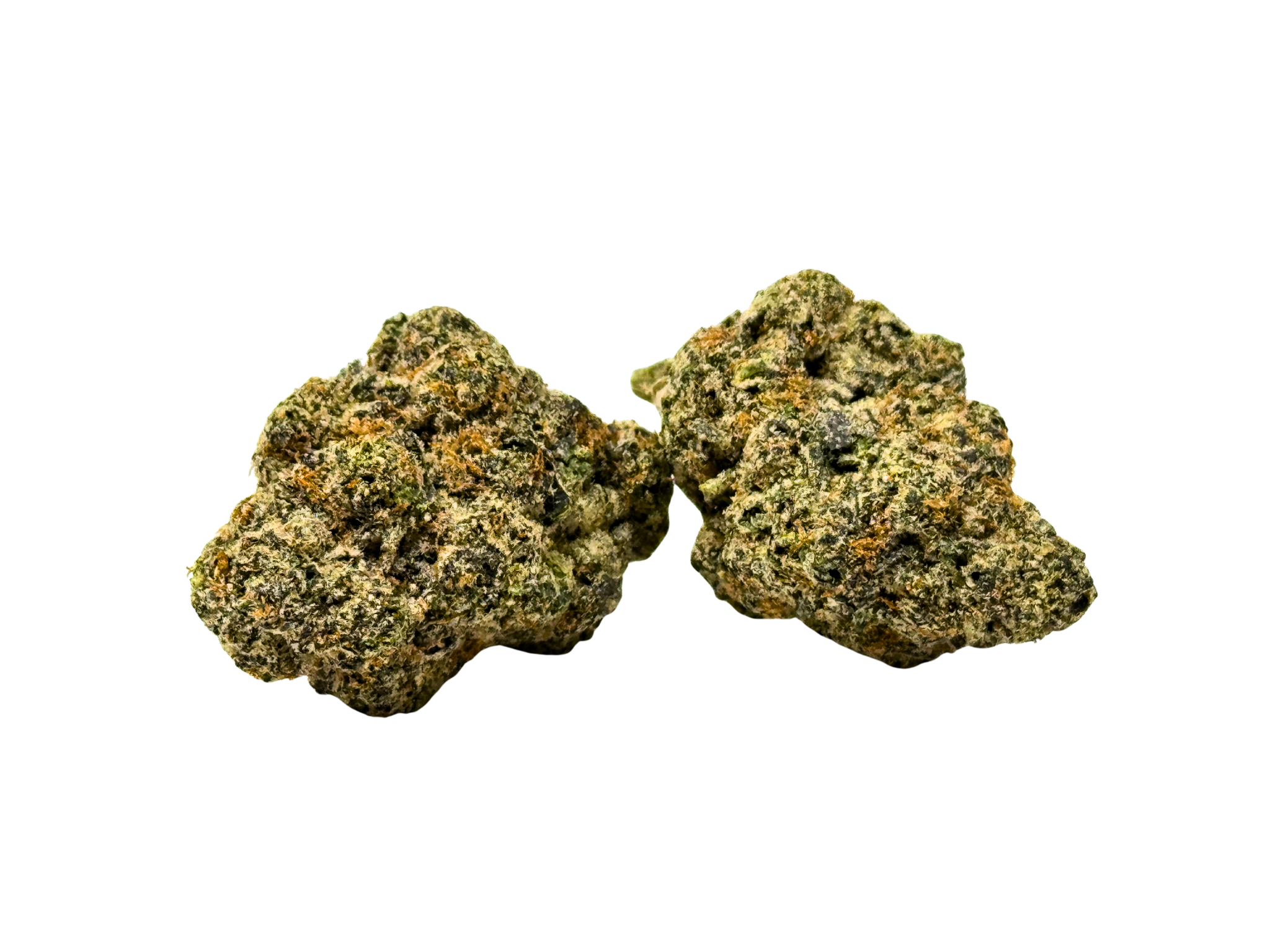 *NEW* ICE CREAM CAKE (Indica)