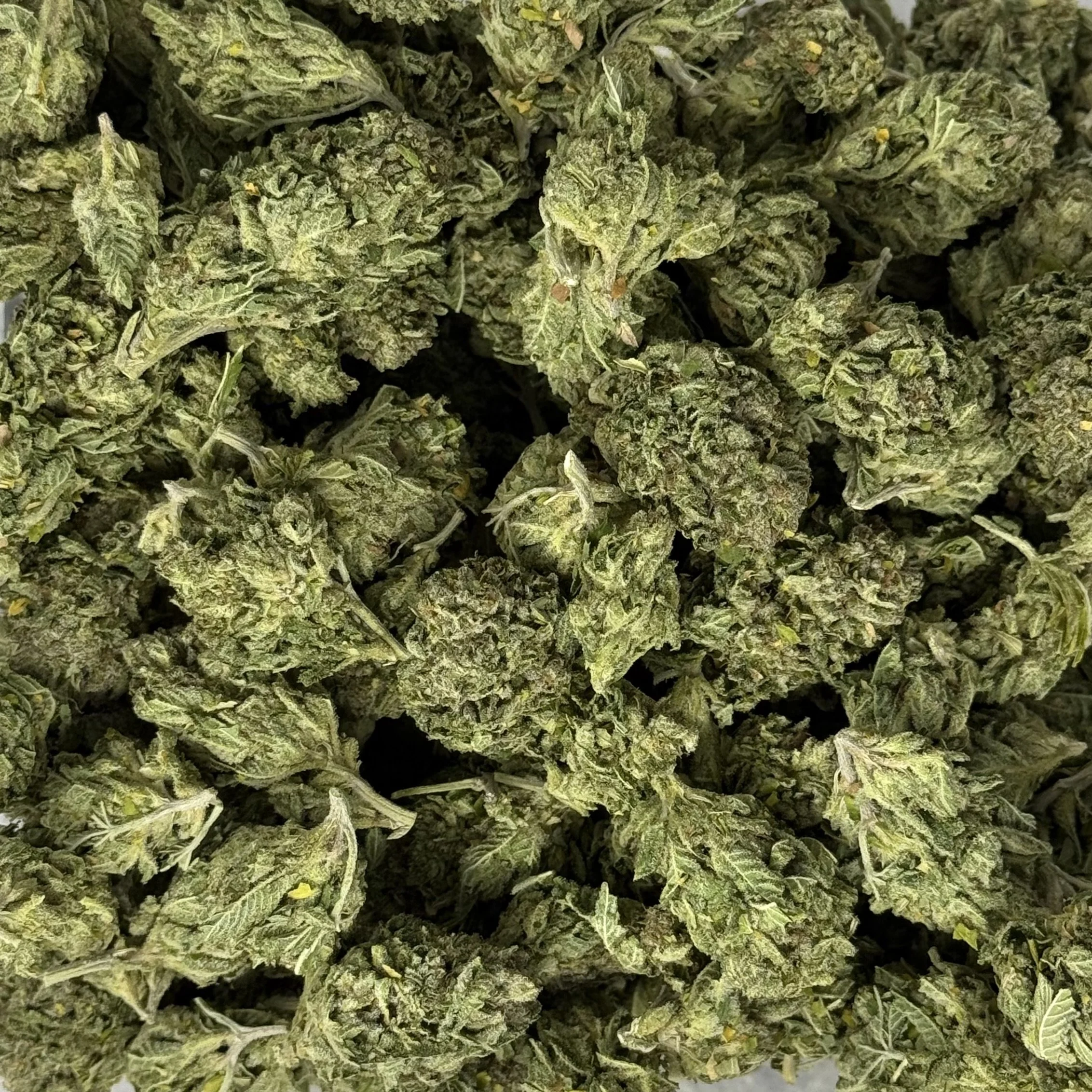 (NEW) DONKEY KONG - HYBRID