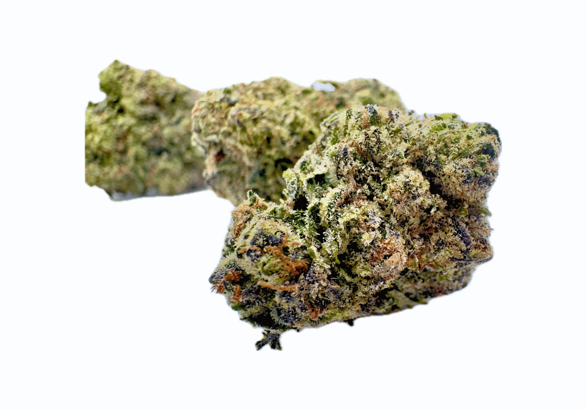 *NEW* BLUEBERRY ZLUSHIE (INDICA-DOMINANT)