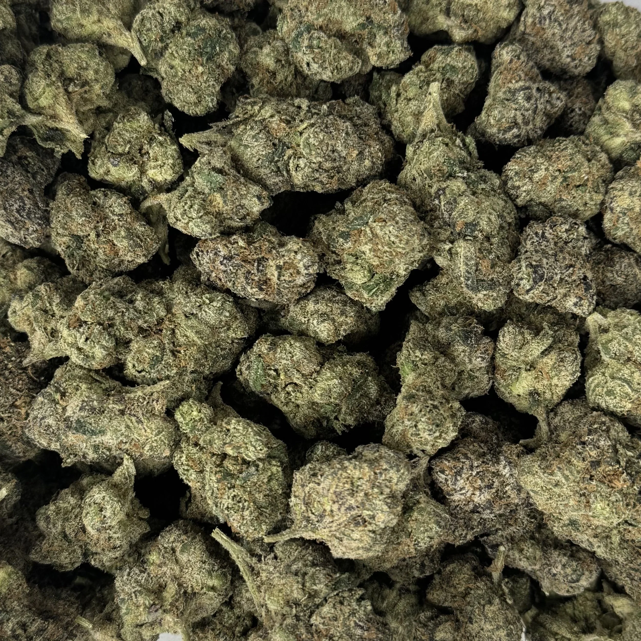 (NEW) MIDNIGHT CANDY - SATIVA