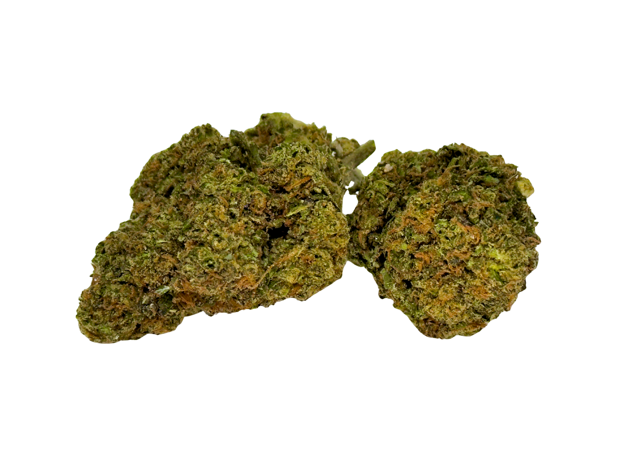 *NEW* ANIMAL COOKIES (Indica-Dominant)