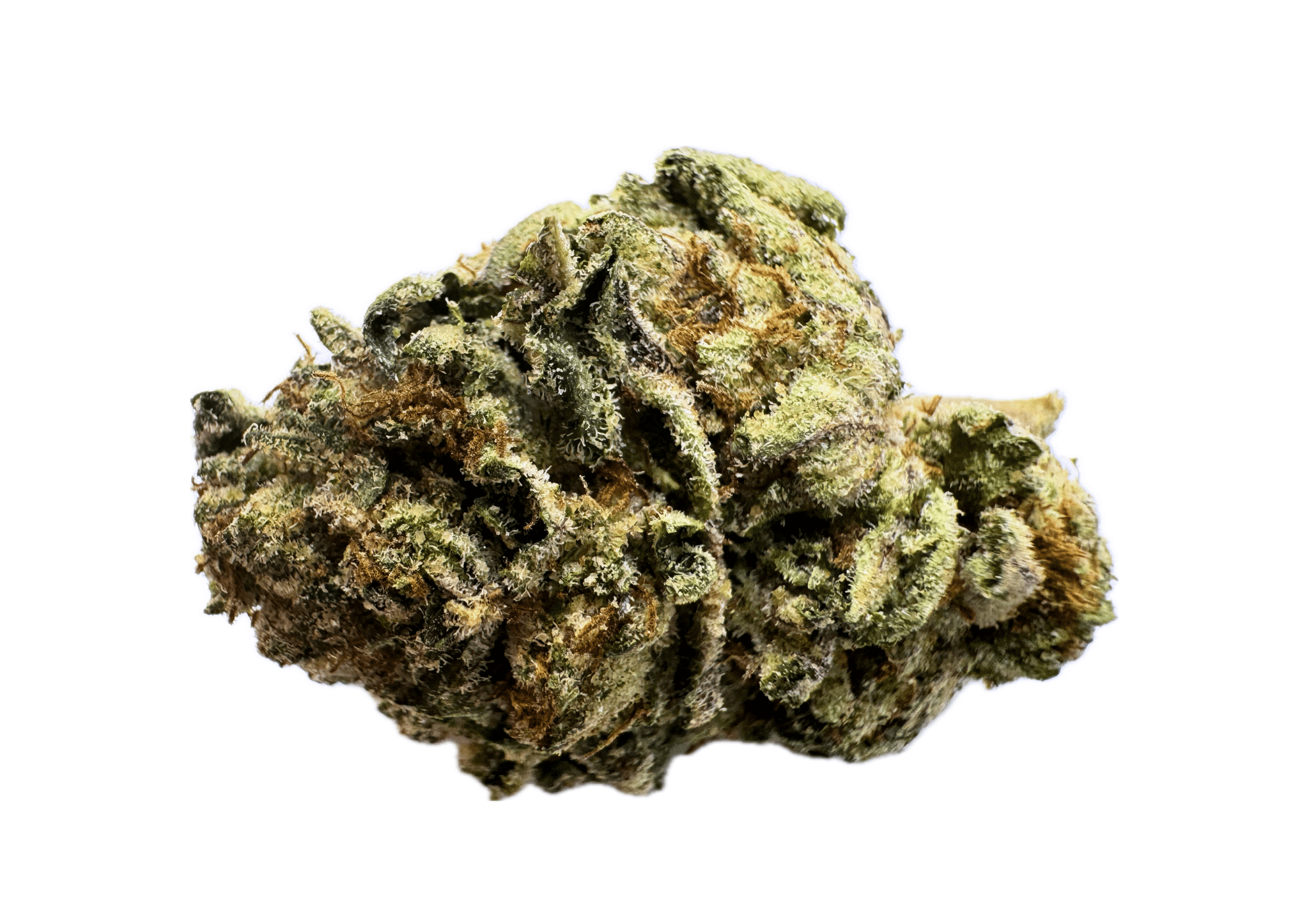 Gelato 41.png