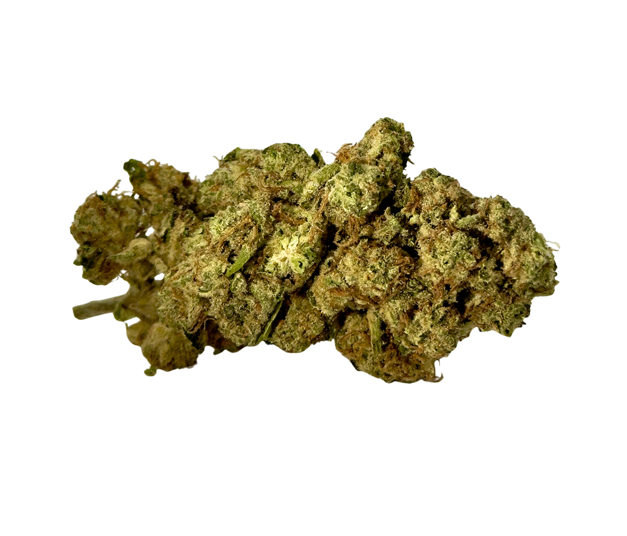 Purple punch-2.png
