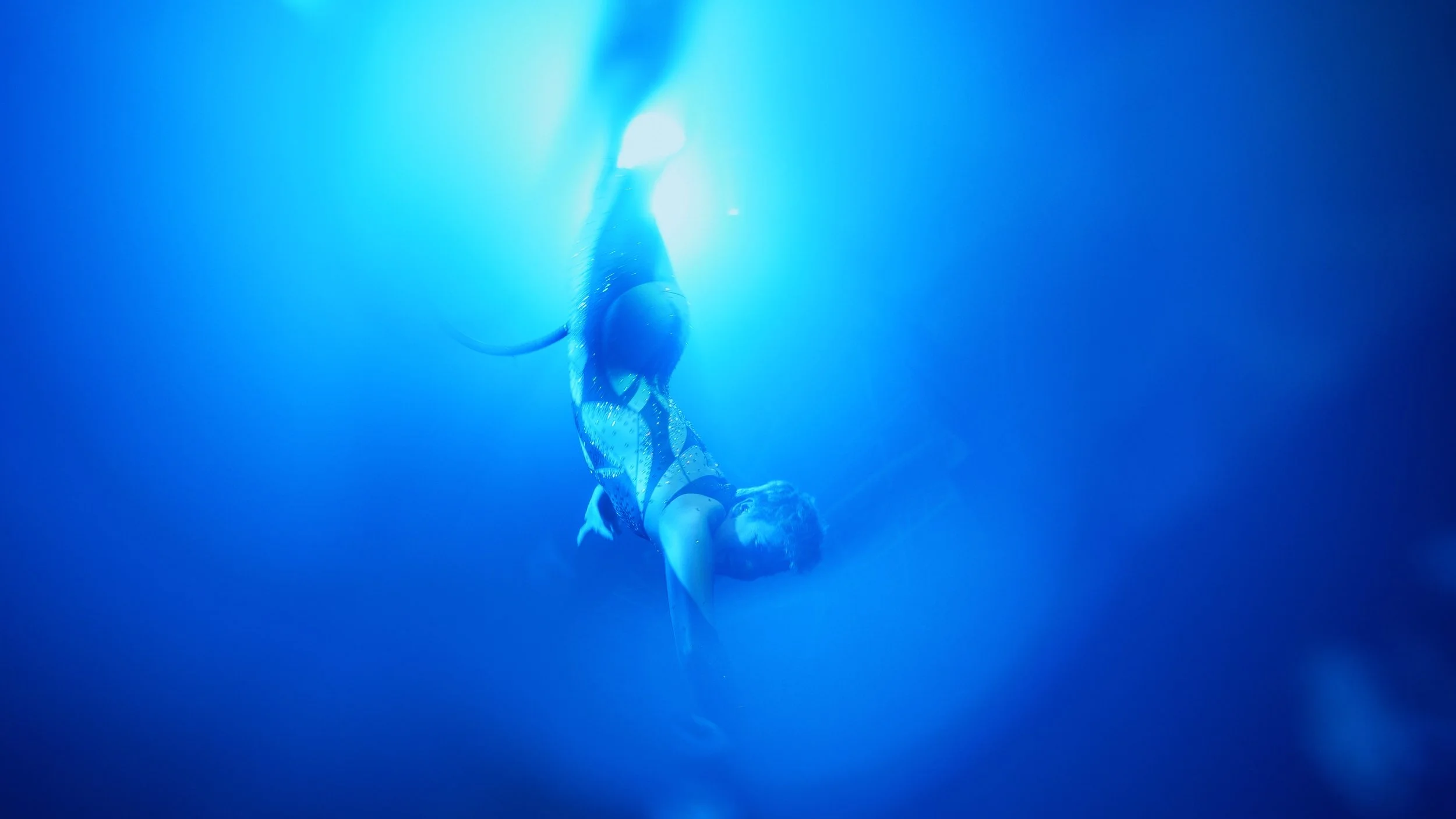 third cull.00_00_02_16.Still005.jpg