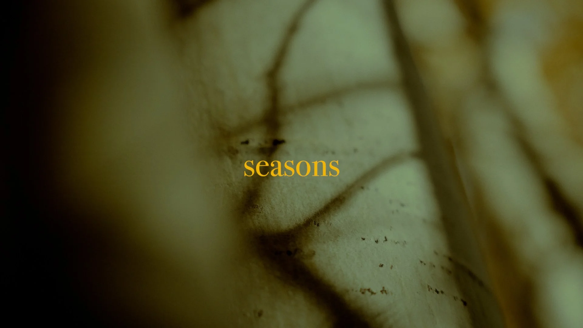 'Seasons' Music Video
