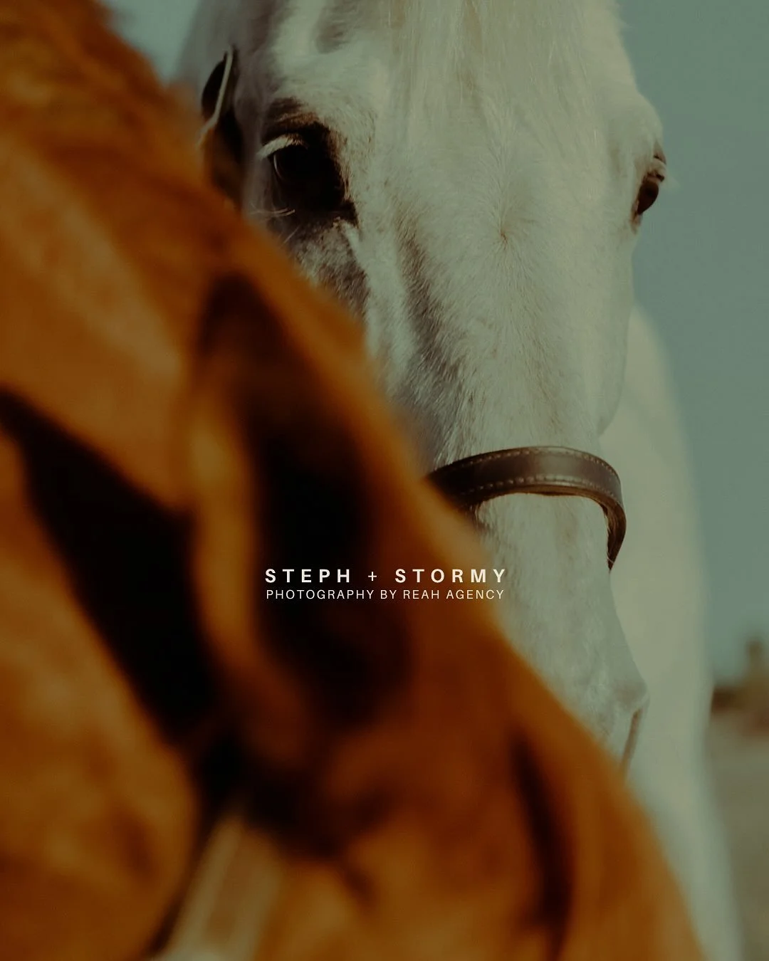 The third &amp; final shares of Steph &amp; Stormy&rsquo;s shoot 🥹😌🤍 Swipe to see some of the last images we haven&rsquo;t shared yet! And see the previous posts for more of the beautiful context &amp; meaning behind this incredible project. 🙂&zw