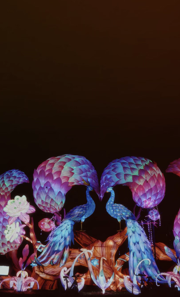 Visit Denver | Bright Nights Campaign