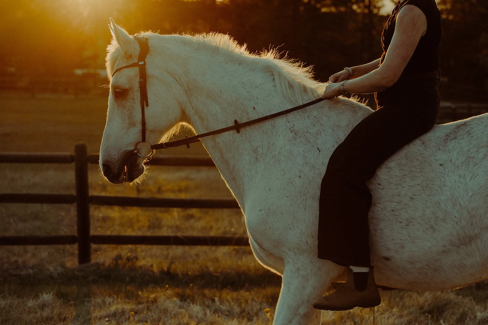 Steph&Stormy-193.jpg