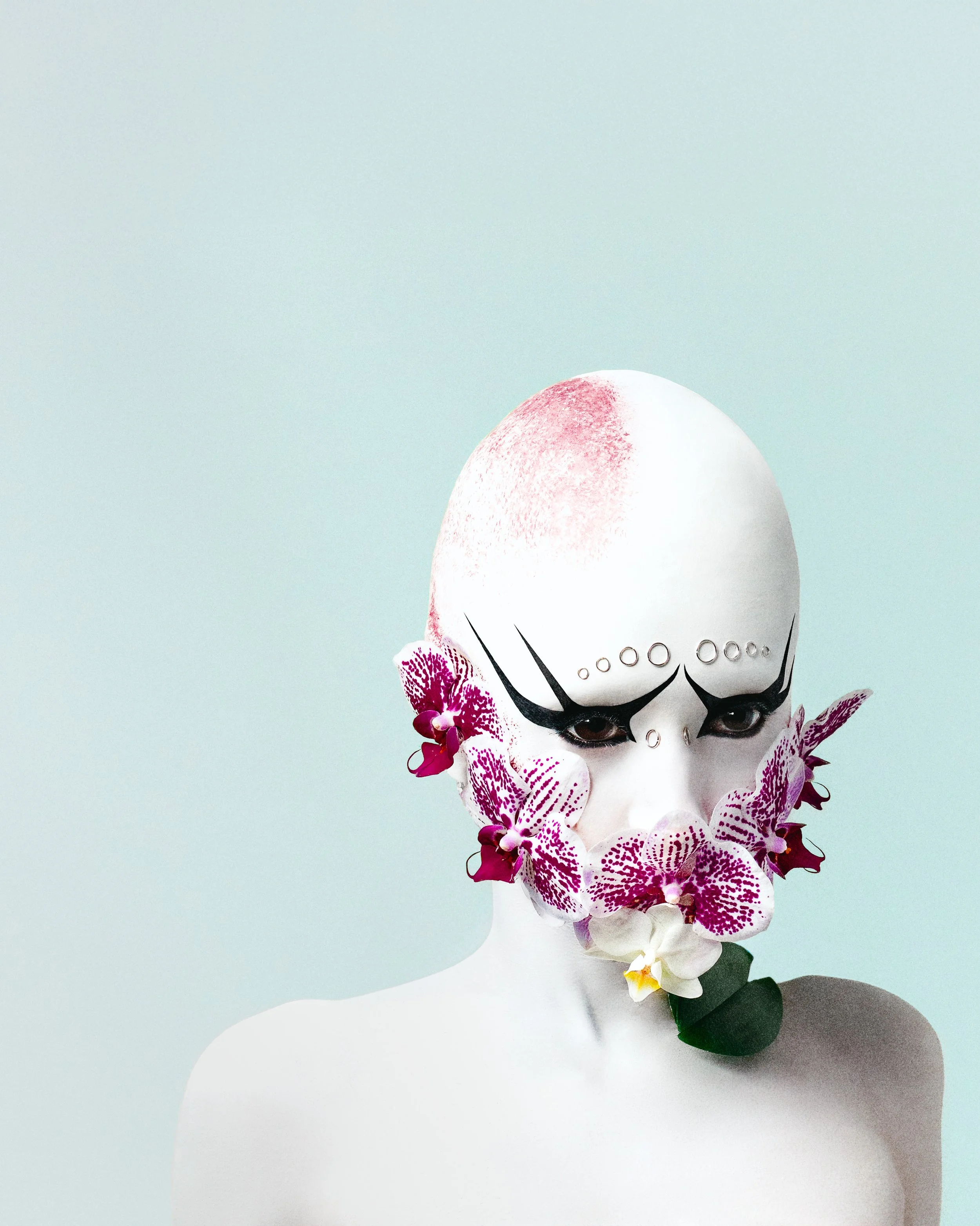 Orchid Alien 2.jpg