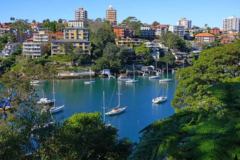 Navigating the Lower North Shore: A Family-Friendly Suburb Guide