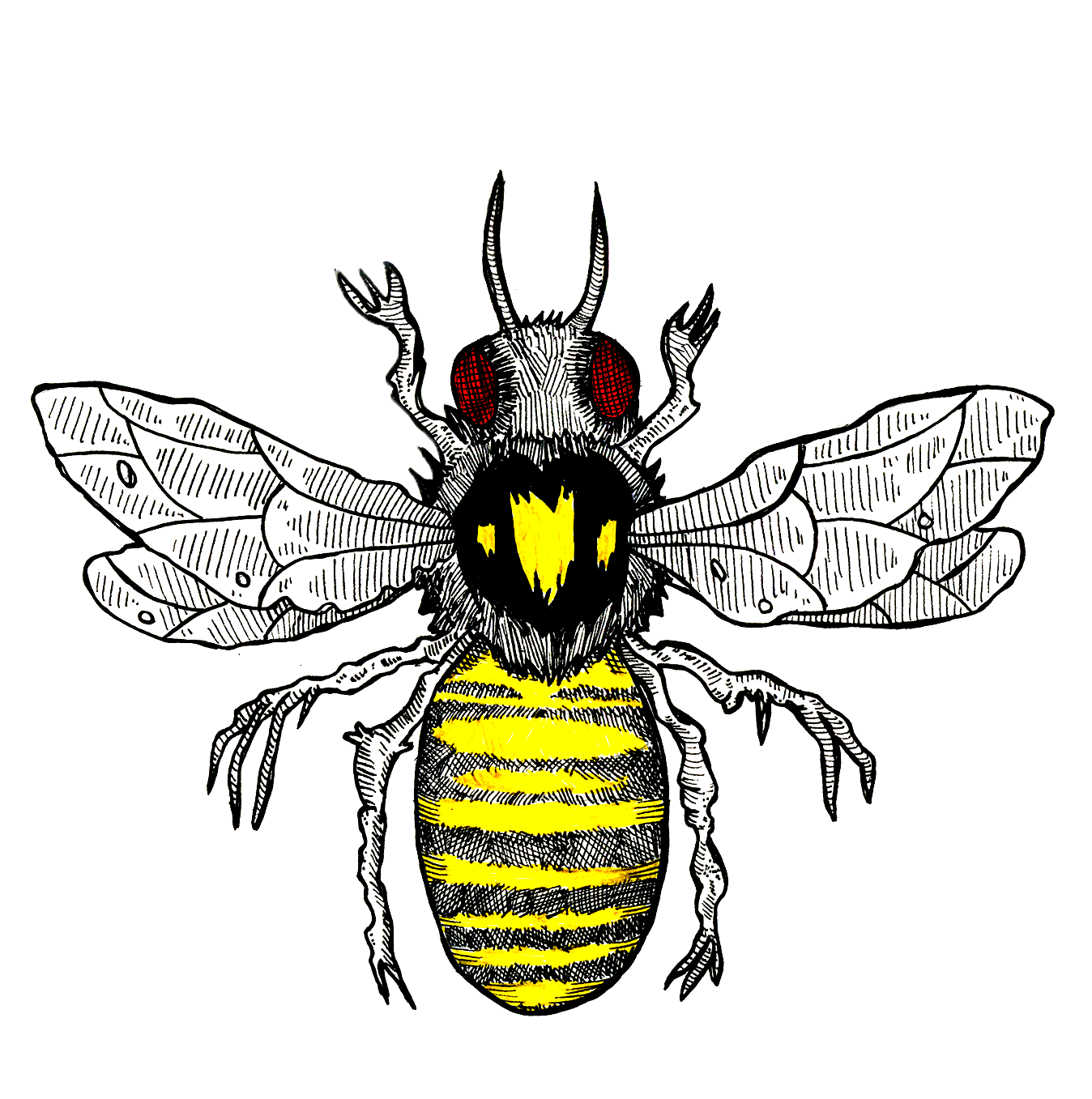 Carrion Bee Temporary Tattoo (pack of 3)