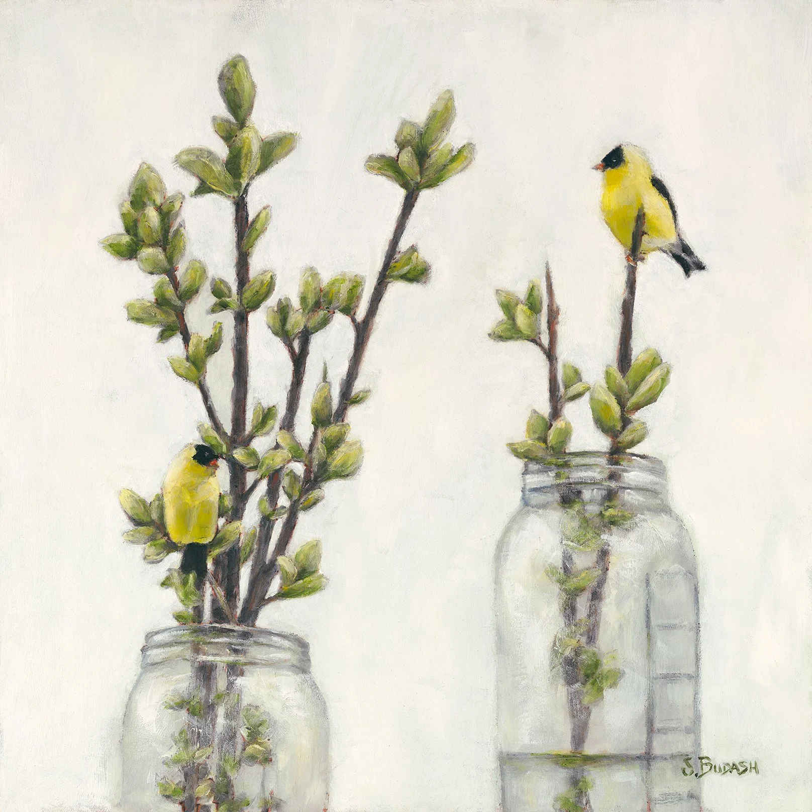 Chirping the Fandango, 16x16