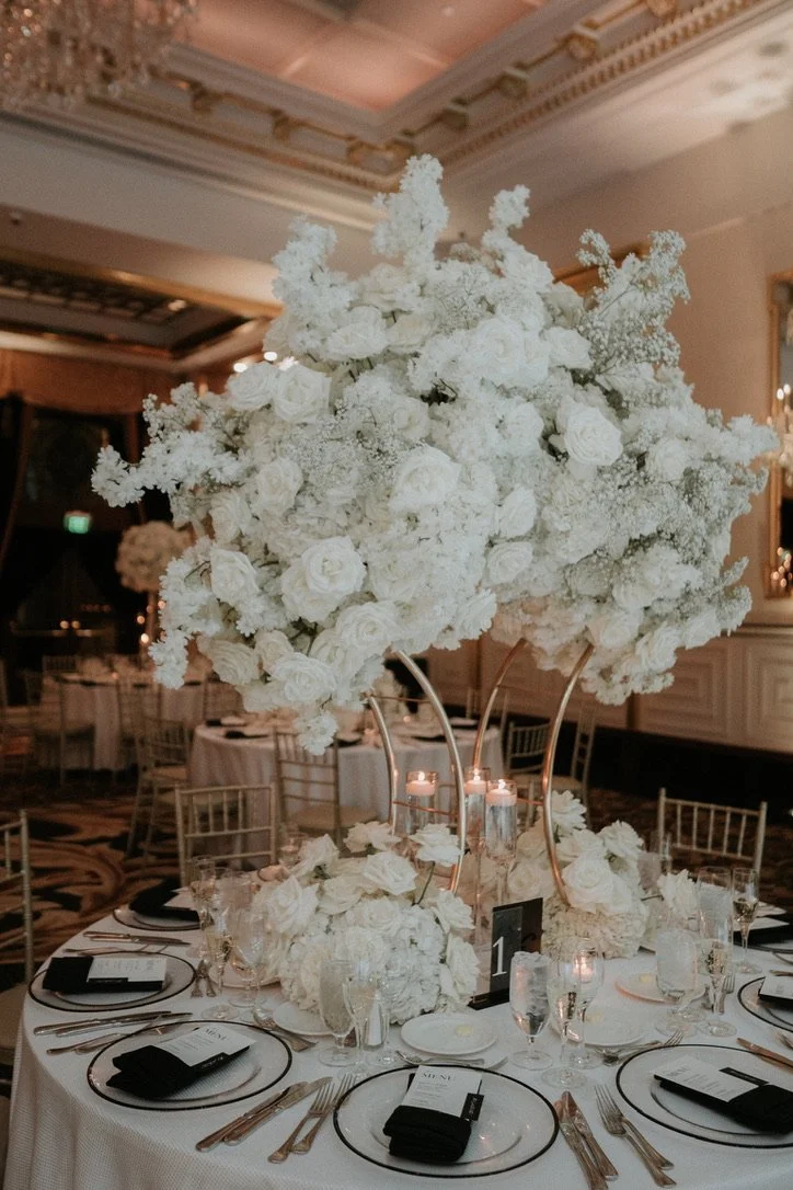 Copy of 86C63718-1120-40E7-AC42-A27EBDF03B38_1_105_c.jpeg