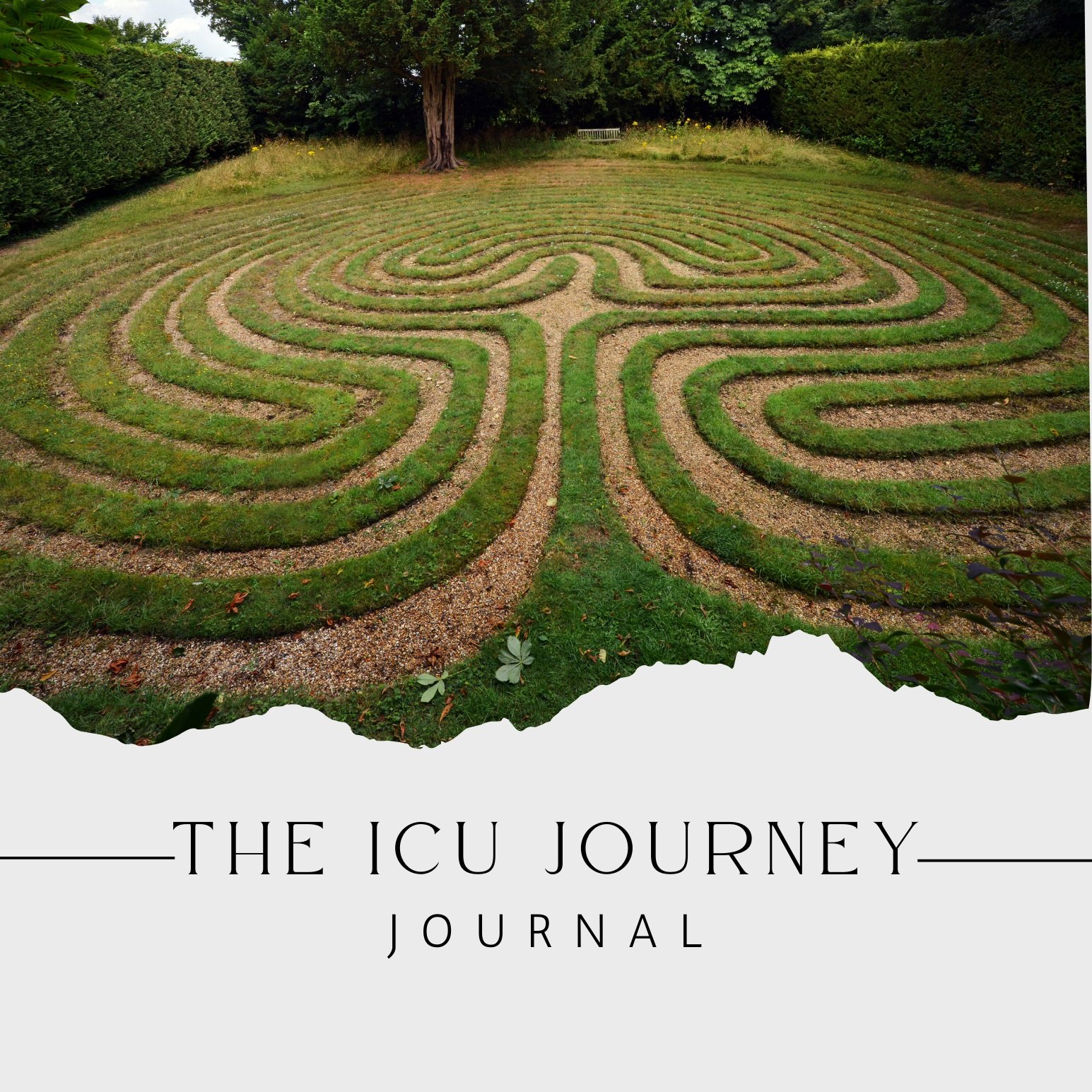 The+ICU+Journey+%282%29.jpg