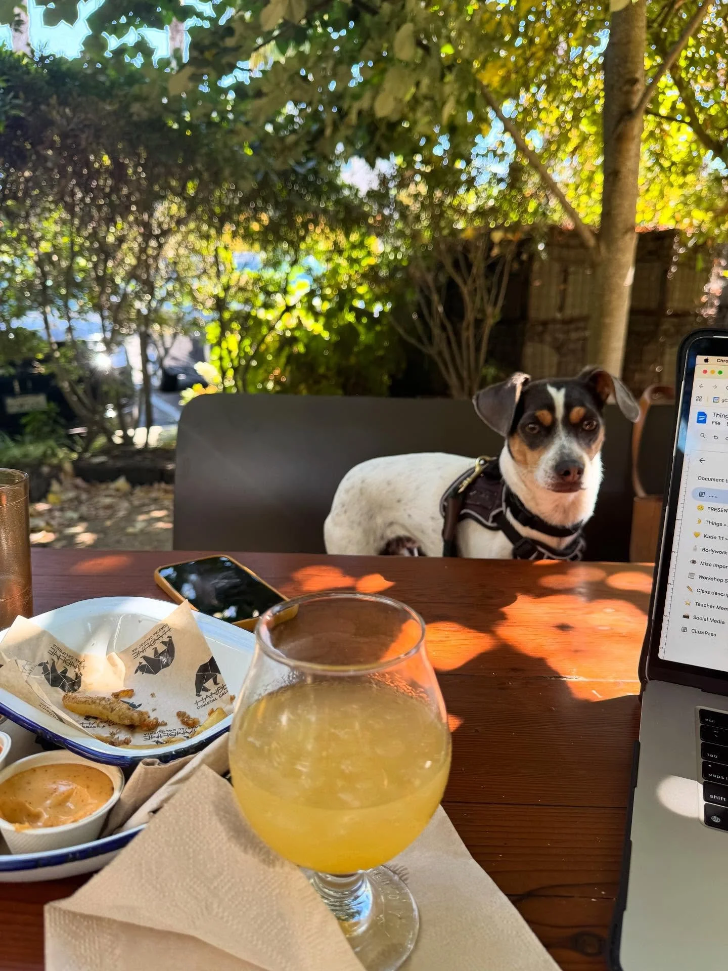 Late summer work meeting vibes&hellip;.
At our next door neighbor&rsquo;s place @handline.sebastopol ⚡️

#sebastopolcalifornia #westcountylove #summer #community