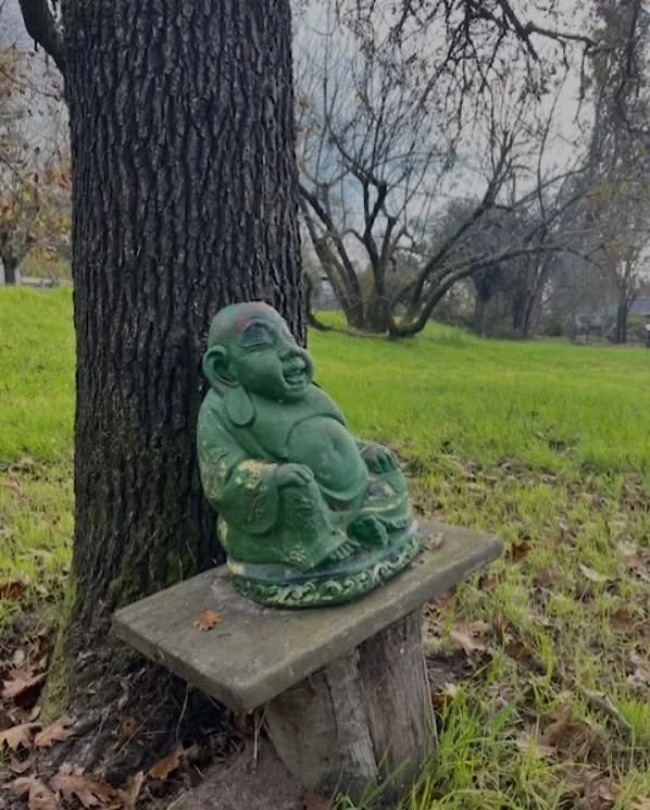 A loving reminder that we can choose to slow down and quiet the mind when life gets loud or chaotic or overstimulating. 

+ Yoga helps too 😉 

Come practice together in community. Check out our current schedule at the link in bio. 

#radiate #sebast