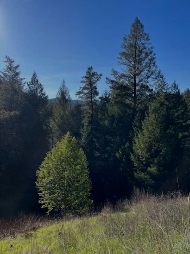 Winter walks in West County 🌳🌞 

#sonomacounty #russianrivervalley #sebastopolcommunity #radiate #lovewhereyoulive