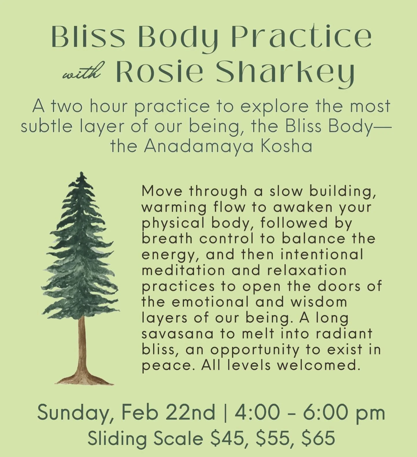 Sunday February 22nd with @footwork_and_flows 🌲✨ Join Rosie in this two hour practice to explore the Bliss Body | 4:00 - 6:00 pm Head to the link in our bio or sign up at www.radiate.studio/workshops  #warmingflow #sundayyoga #sebastopolyoga #sonoma