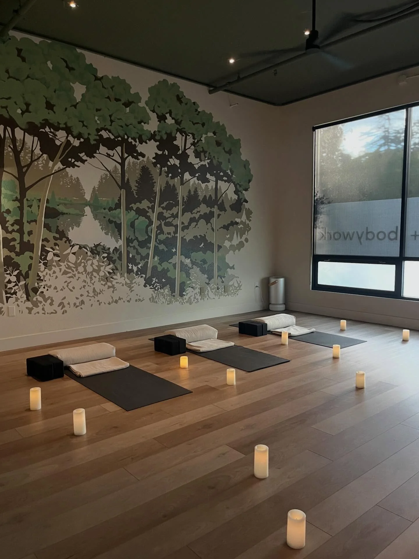 Evening yoga at Radiate.🕯️✨ Register at the link in our bio or head to www.radiate.studio/yoga  #eveningyoga #sebastopolyoga #sonomacounty #candlelityoga #slowflowyoga