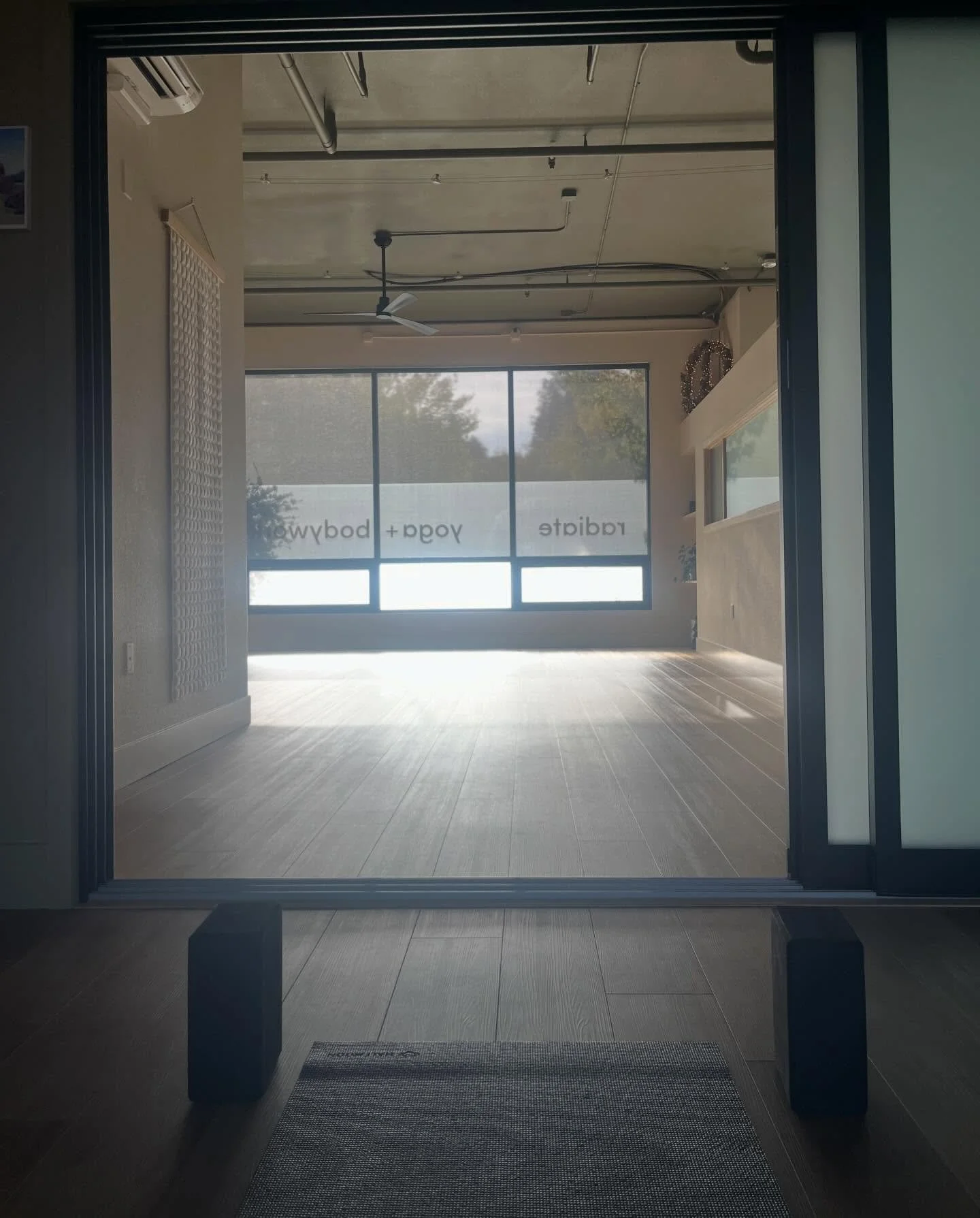 Afternoon light ⛅️ #radiateyoga #sebastopolyoga #sonomacountyyoga #flowyoga #westcounty