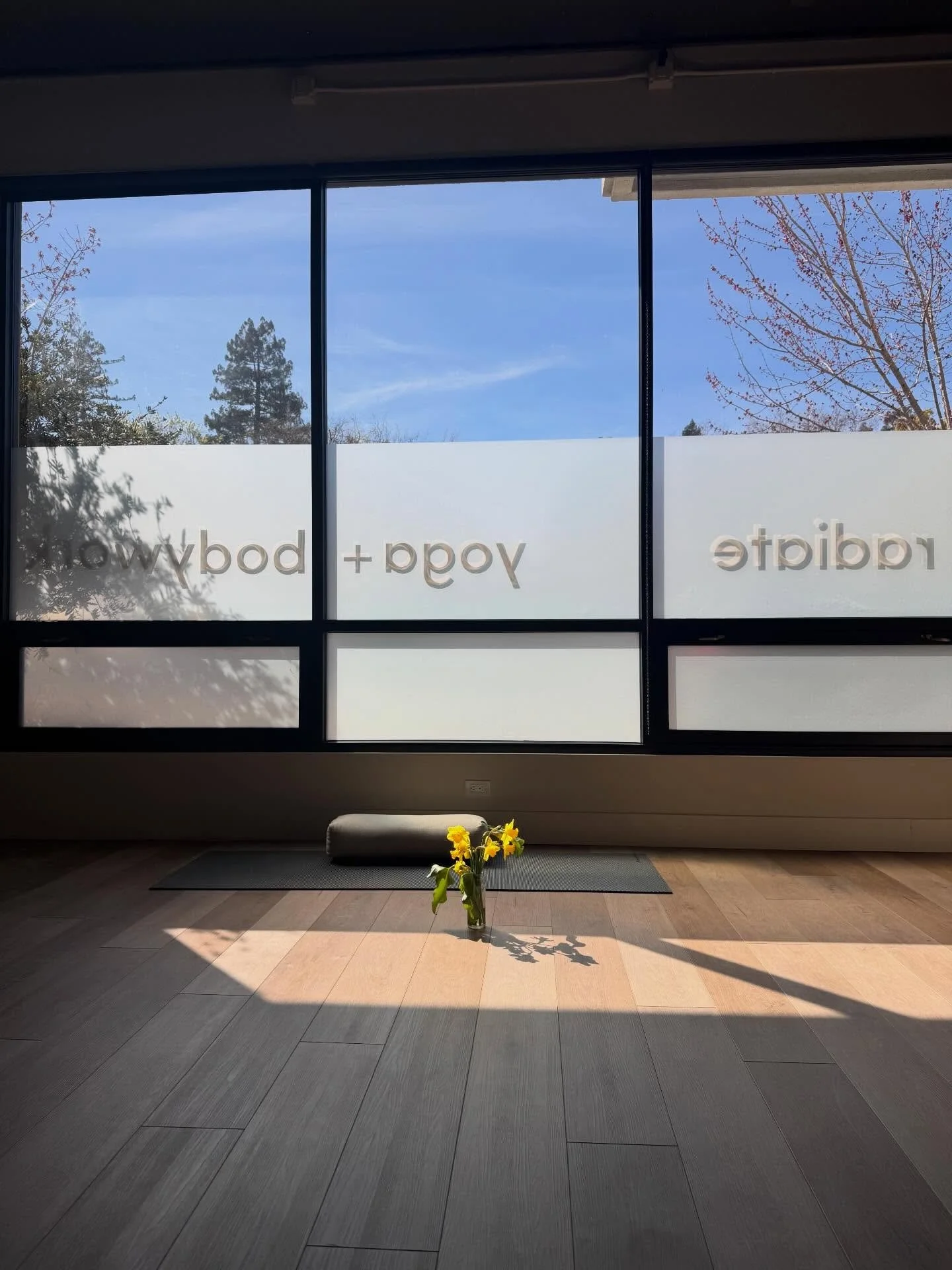 Sunshine &amp; Spring Flowers 

#sebastopolyoga #sonomacounty #russianrivervalley #springinsonomacounty