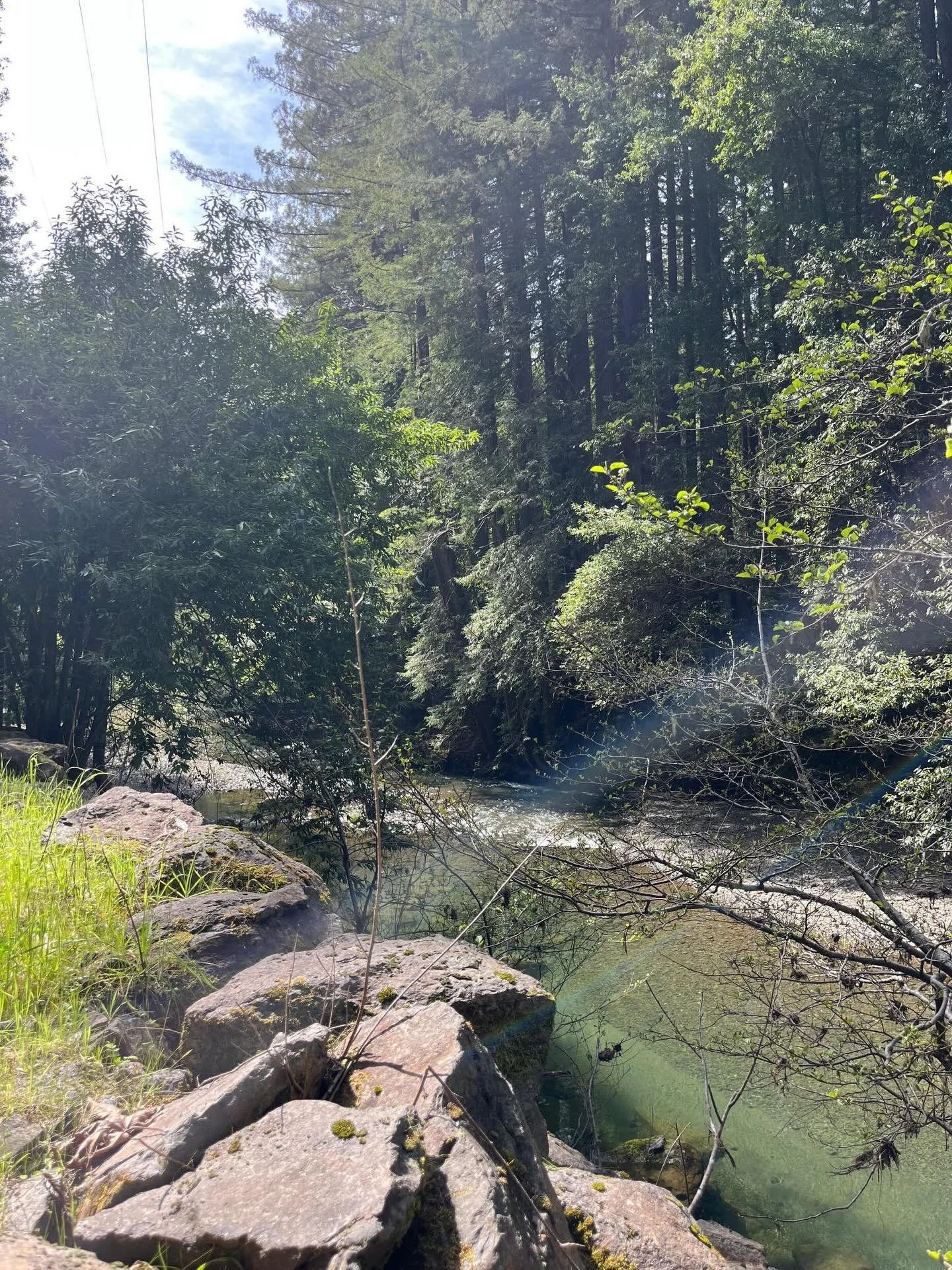 &ldquo;Let me be like water.&rdquo; -Lo Wolf  #radiate #sebastopolyoga #sonomacounty #westcounty #sebastopol