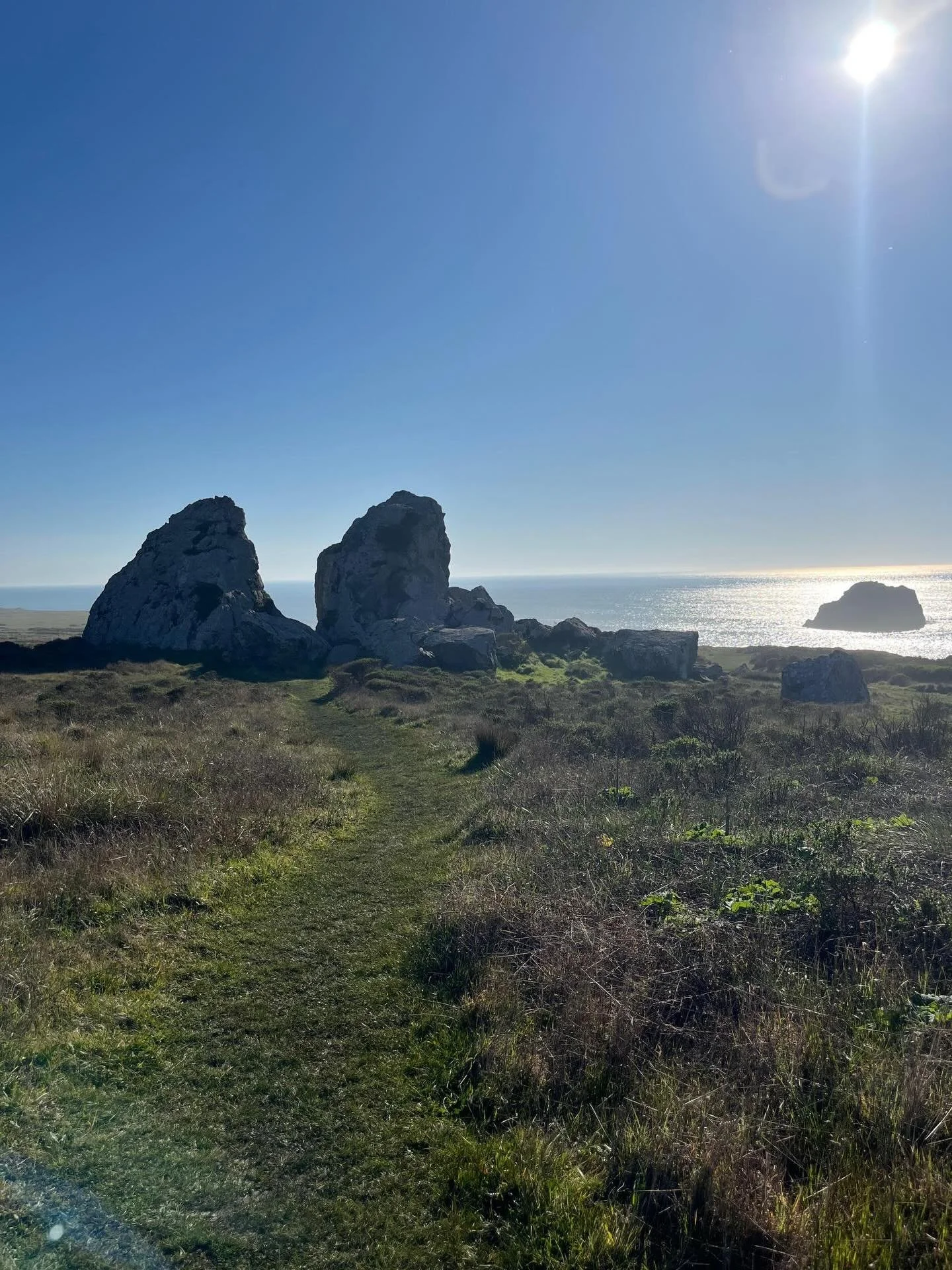 &ldquo;Live in the sunshine, swim the sea, drink the wild air.&rdquo; &mdash; Ralph Waldo Emerson  #sebastopolyoga #sonomacounty #westcounty #yogaflow #radiate