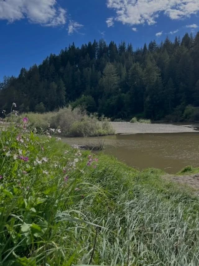 Appreciating our peaceful west county landscape on earth day. 
🌎🌍🌏🌲🍃🌱🌳

#earthday #westcountylove #sonomacounty #russianrivervalley #sebastopolyoga