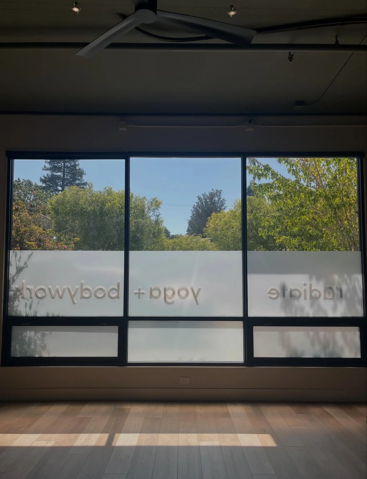 🌞🍃🧘&zwj;♀️ #radiate #radiateyoga #sebastopol #sebastopolyoga #westcounty